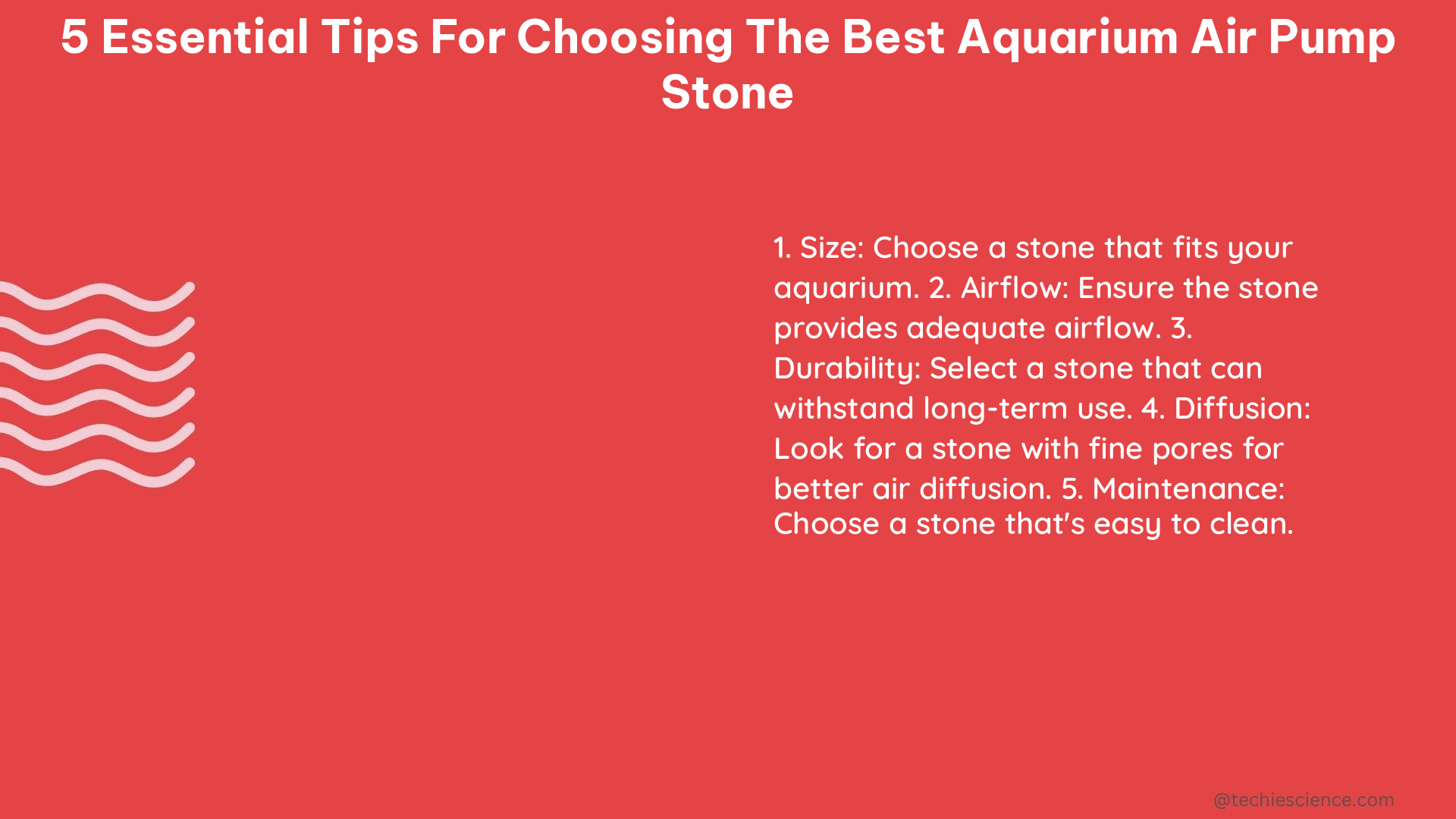 5 essential tips for choosing the best aquarium air pump stone