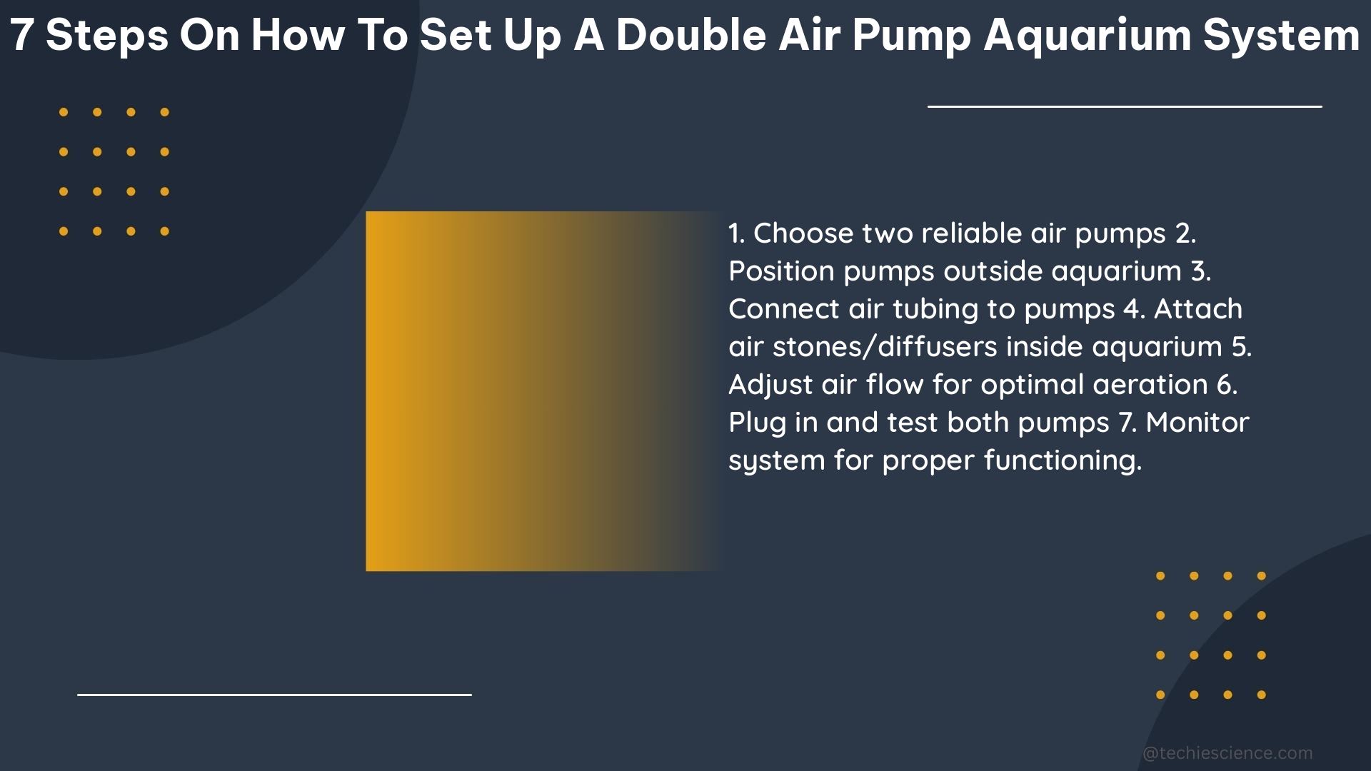 7 steps on how to set up a double air pump aquarium system