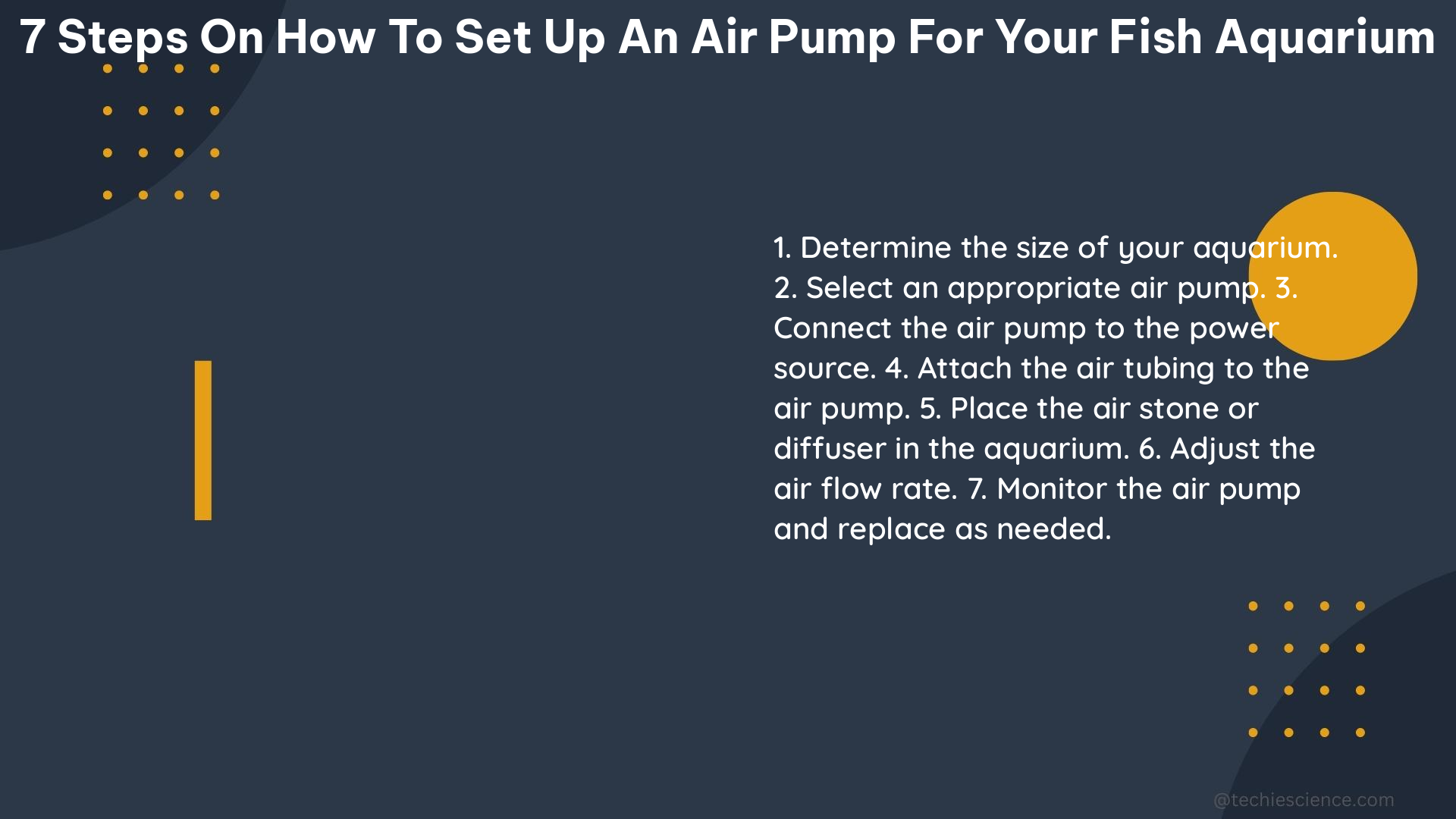 7 steps on how to set up an air pump for your fish aquarium