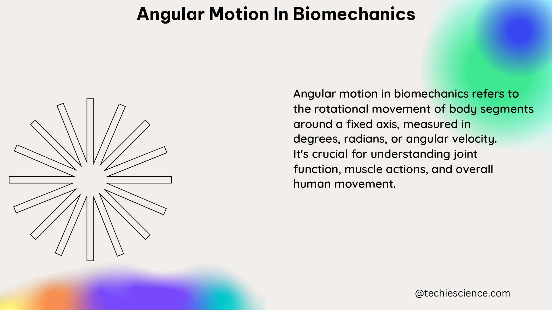 angular motion in biomechanics