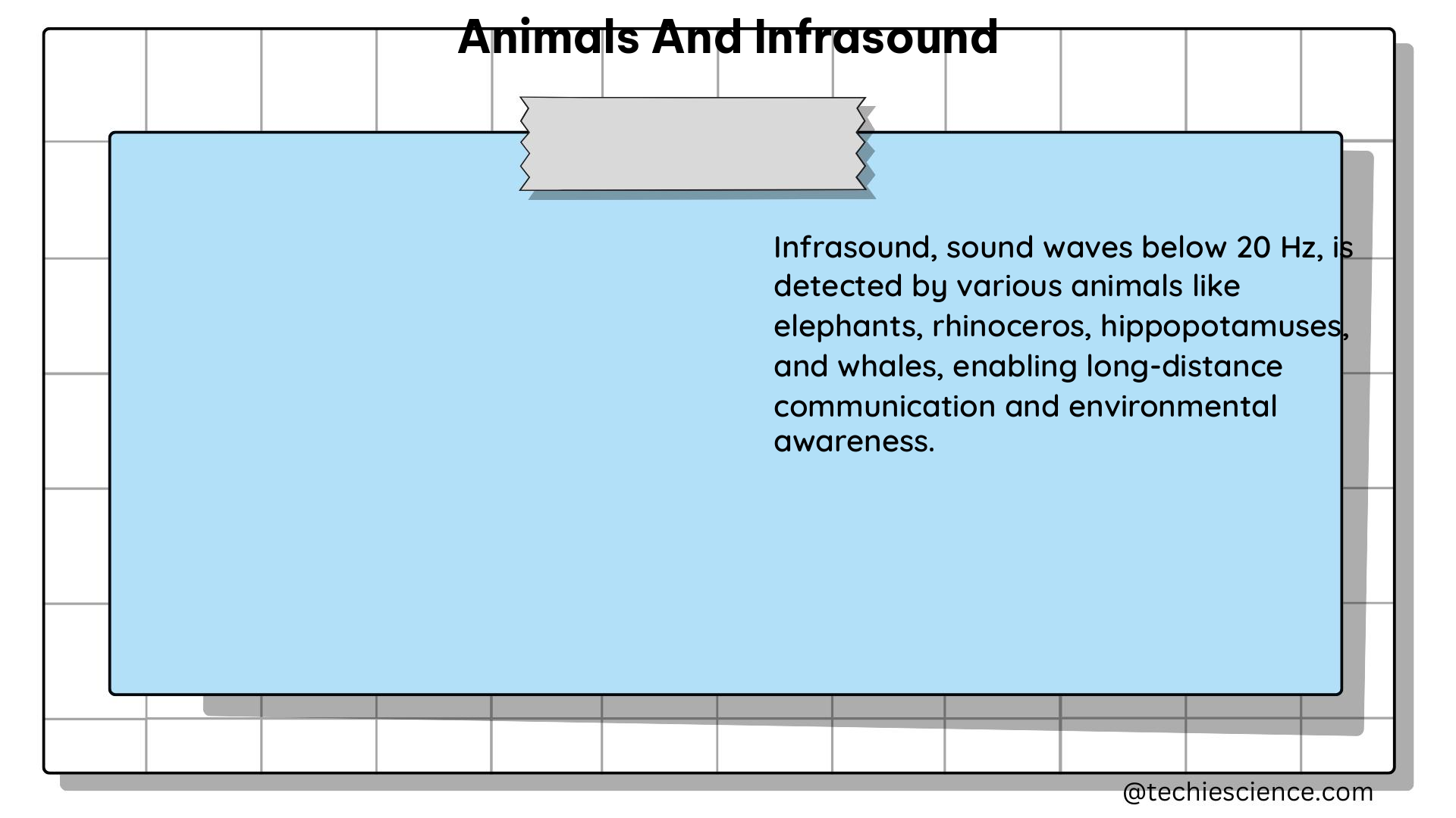 animals and infrasound