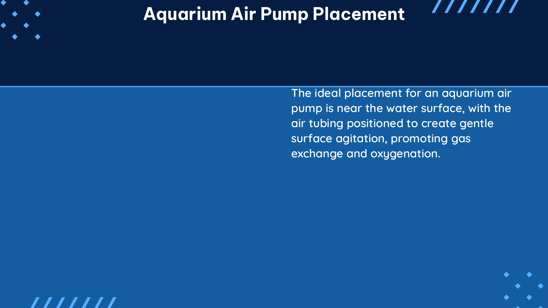 aquarium air pump placement