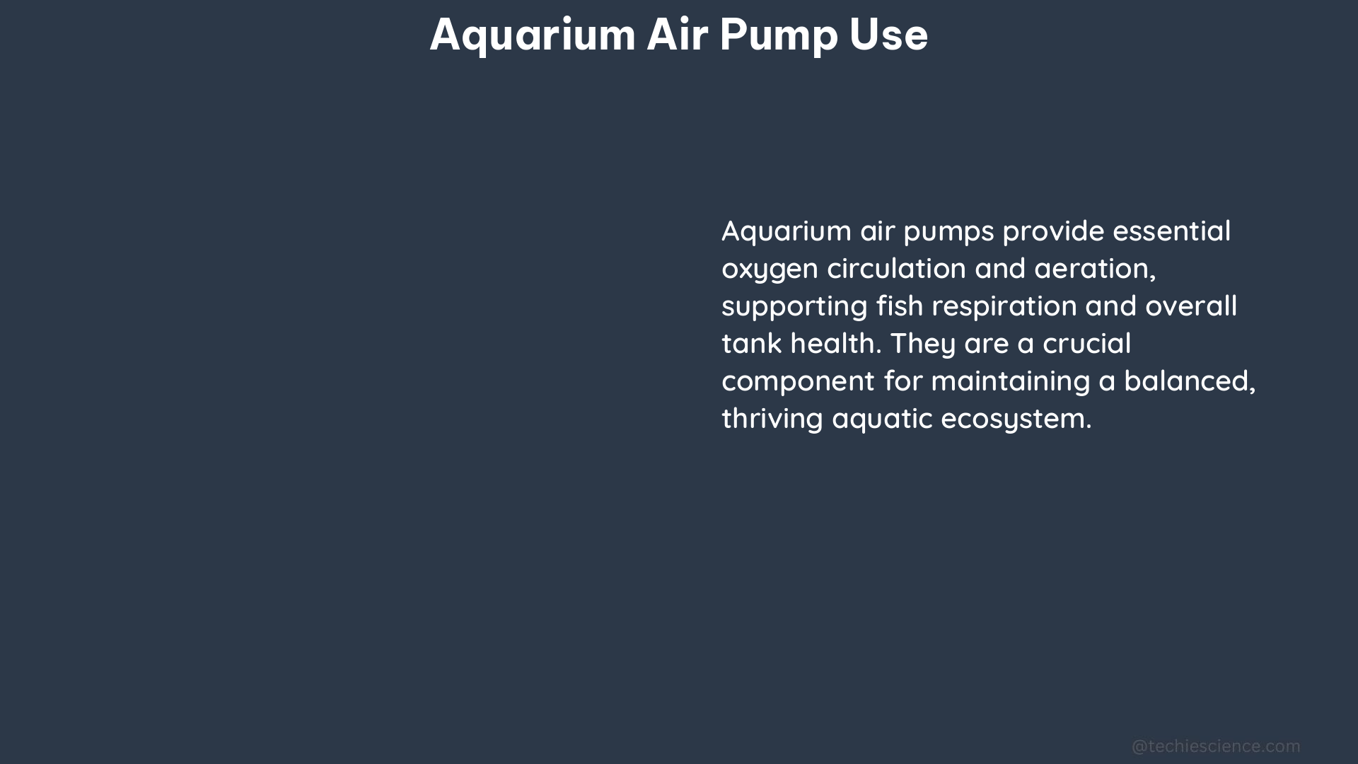 aquarium air pump use