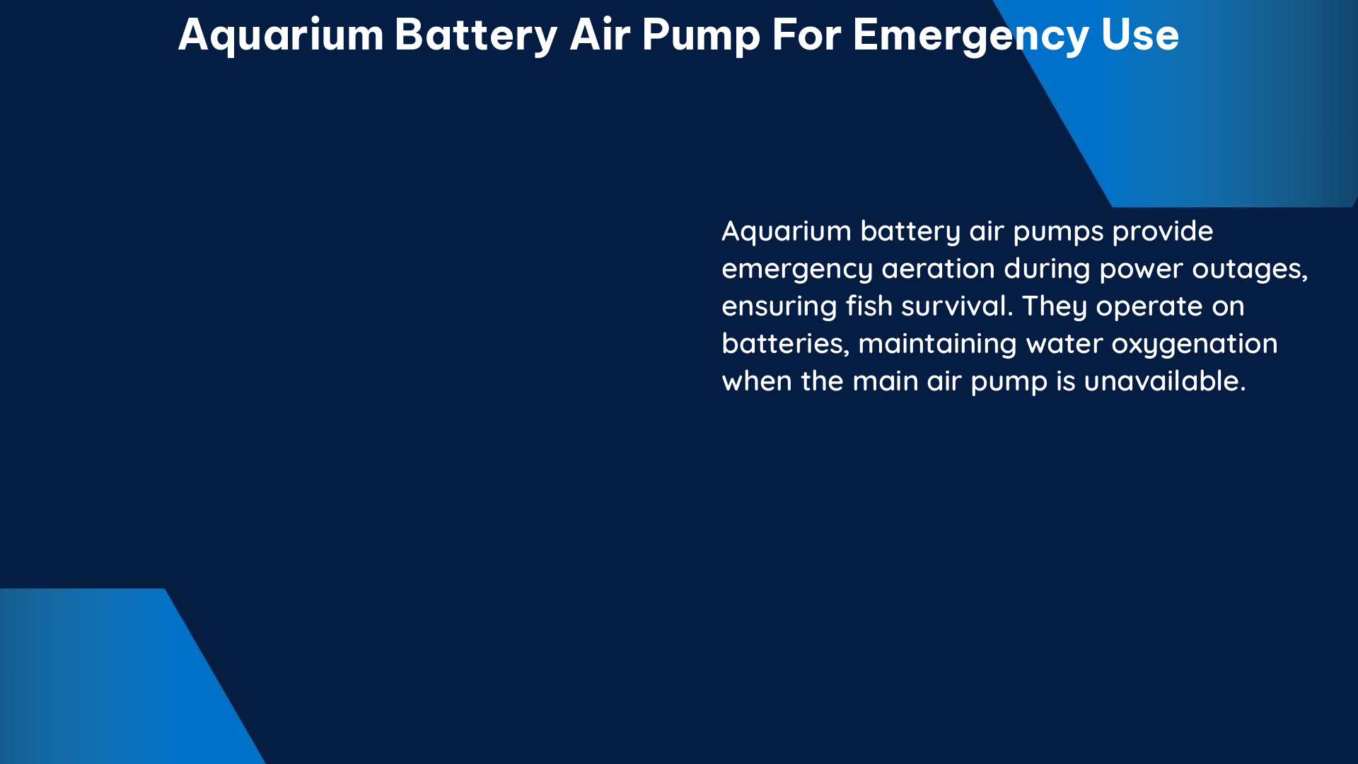 aquarium battery air pump for emergency use