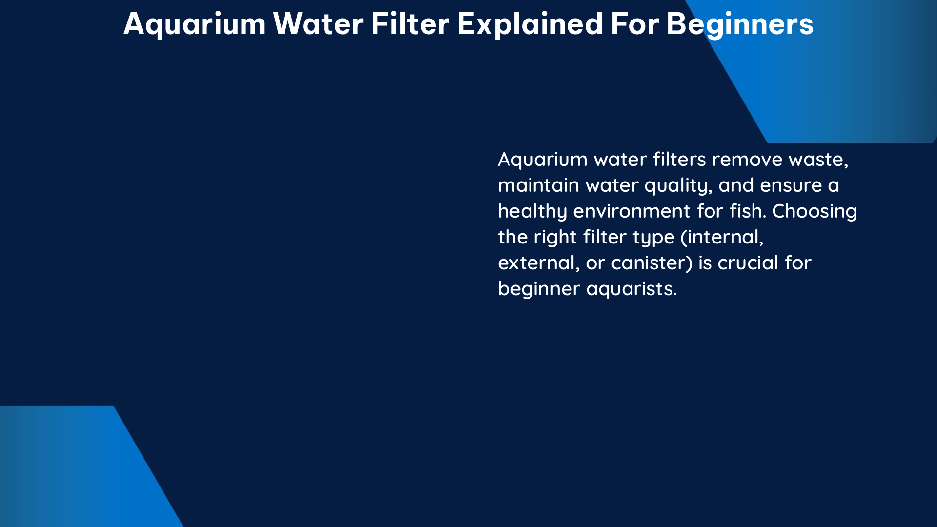 aquarium water filter explained for beginners