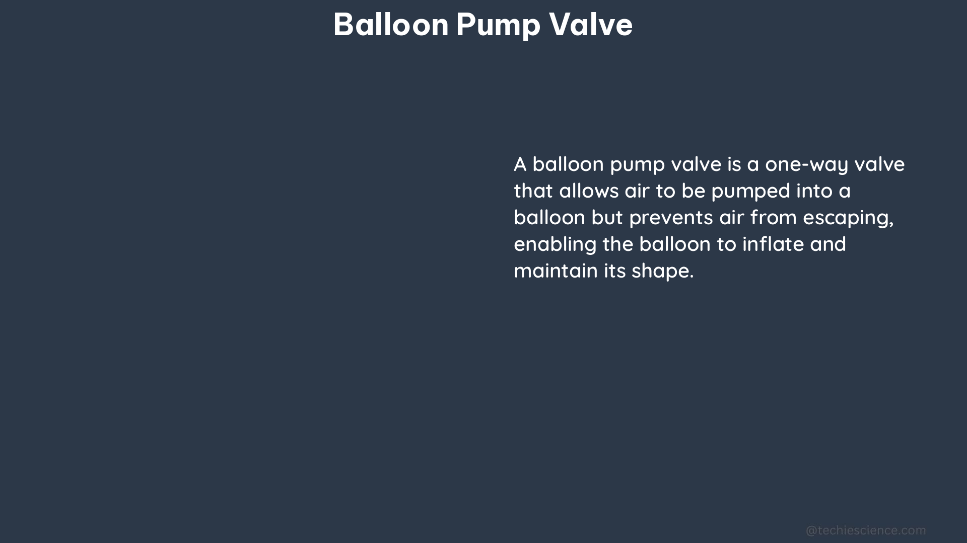 balloon pump valve