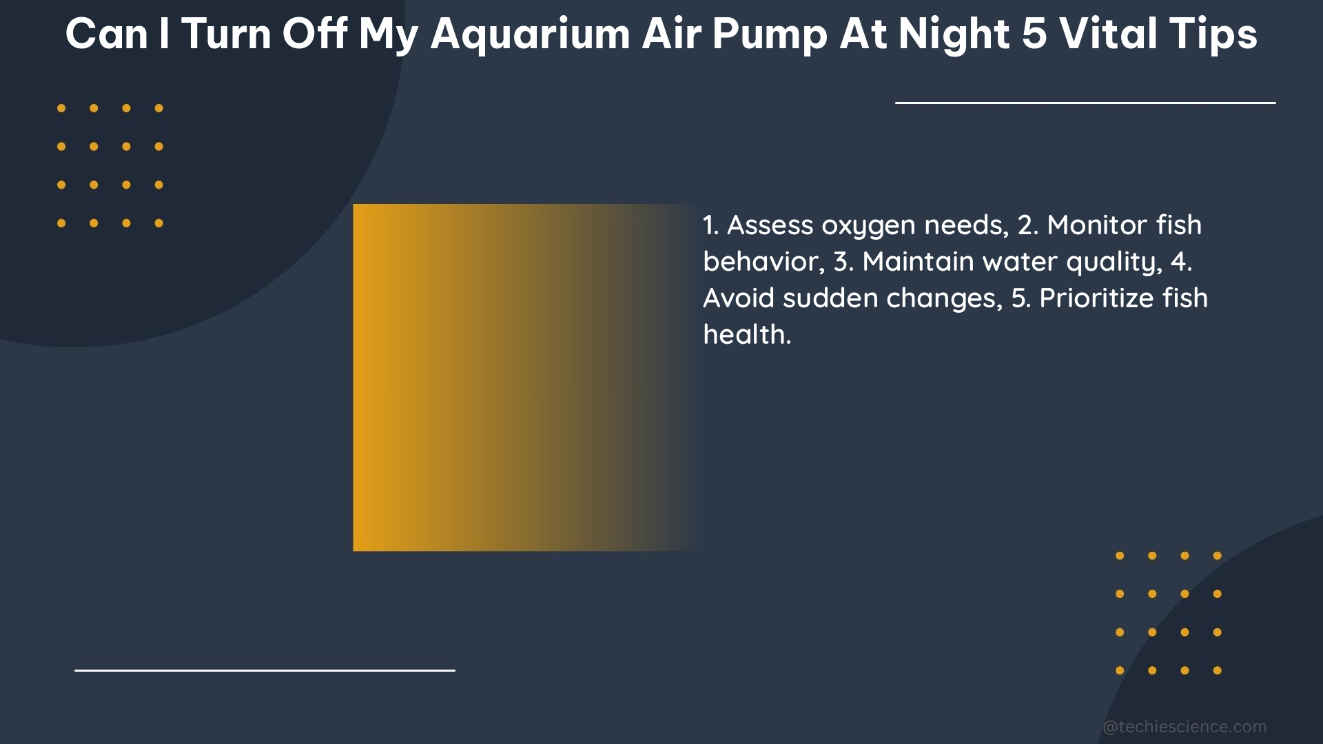 can i turn off my aquarium air pump at night 5 vital tips