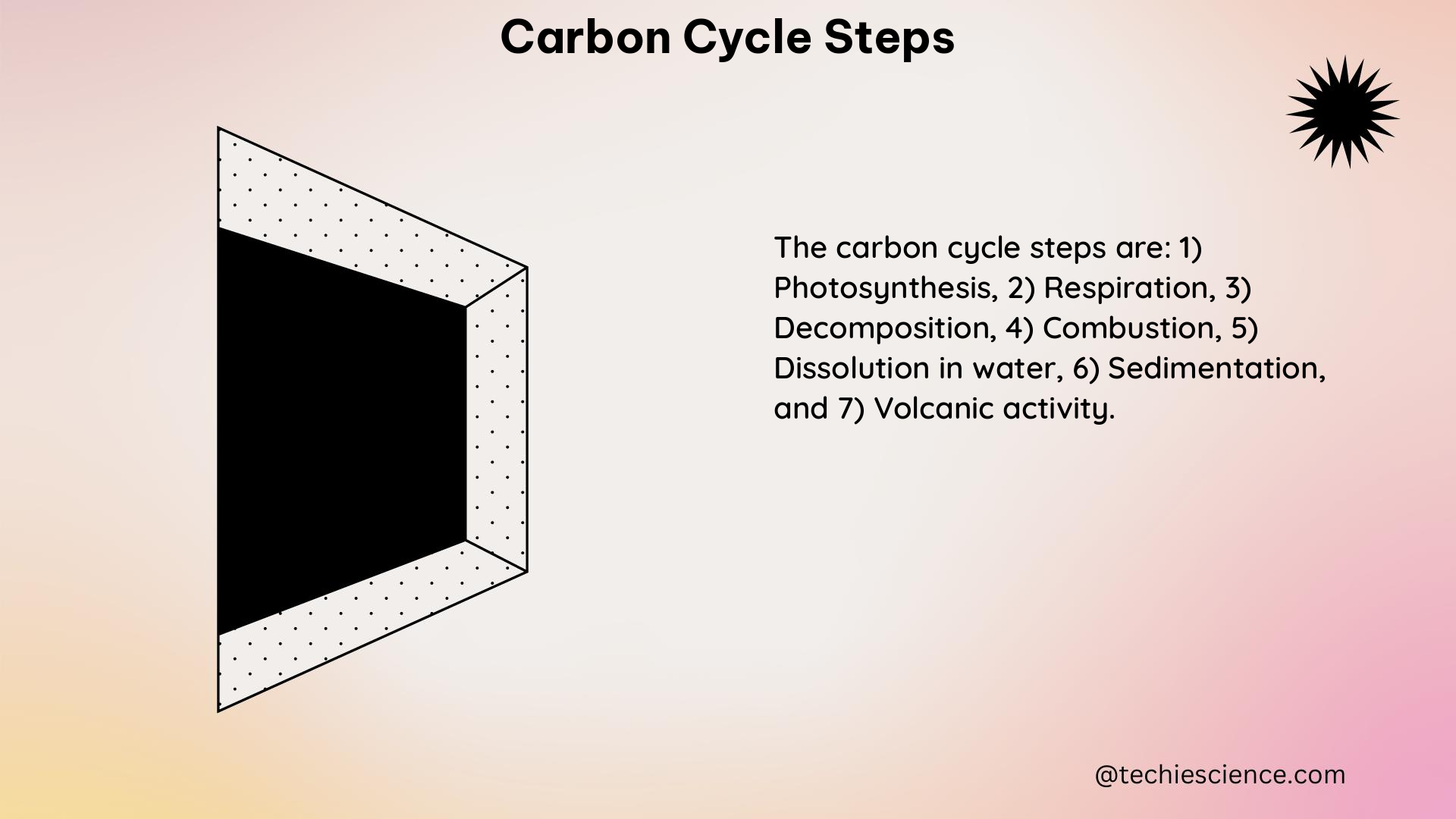 carbon cycle steps