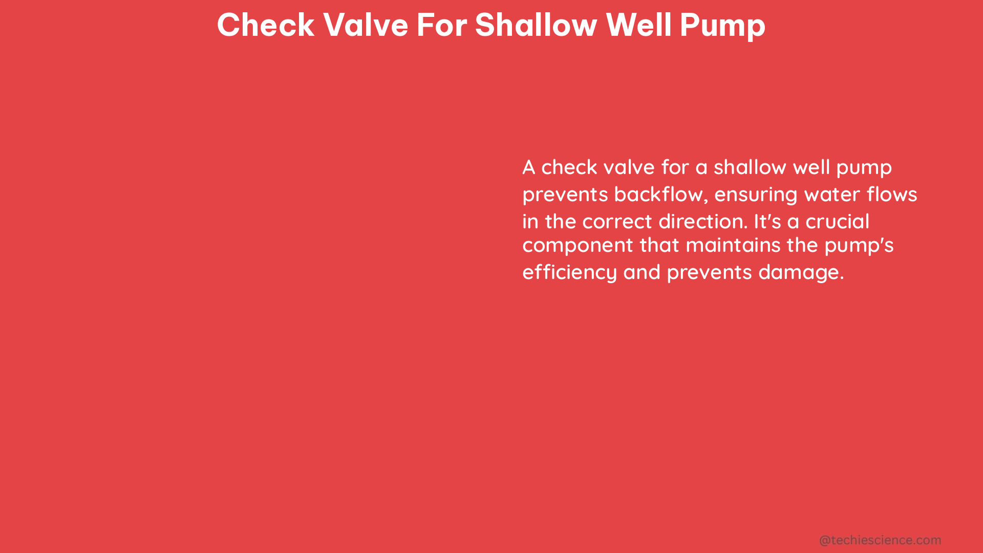 check valve for shallow well pump