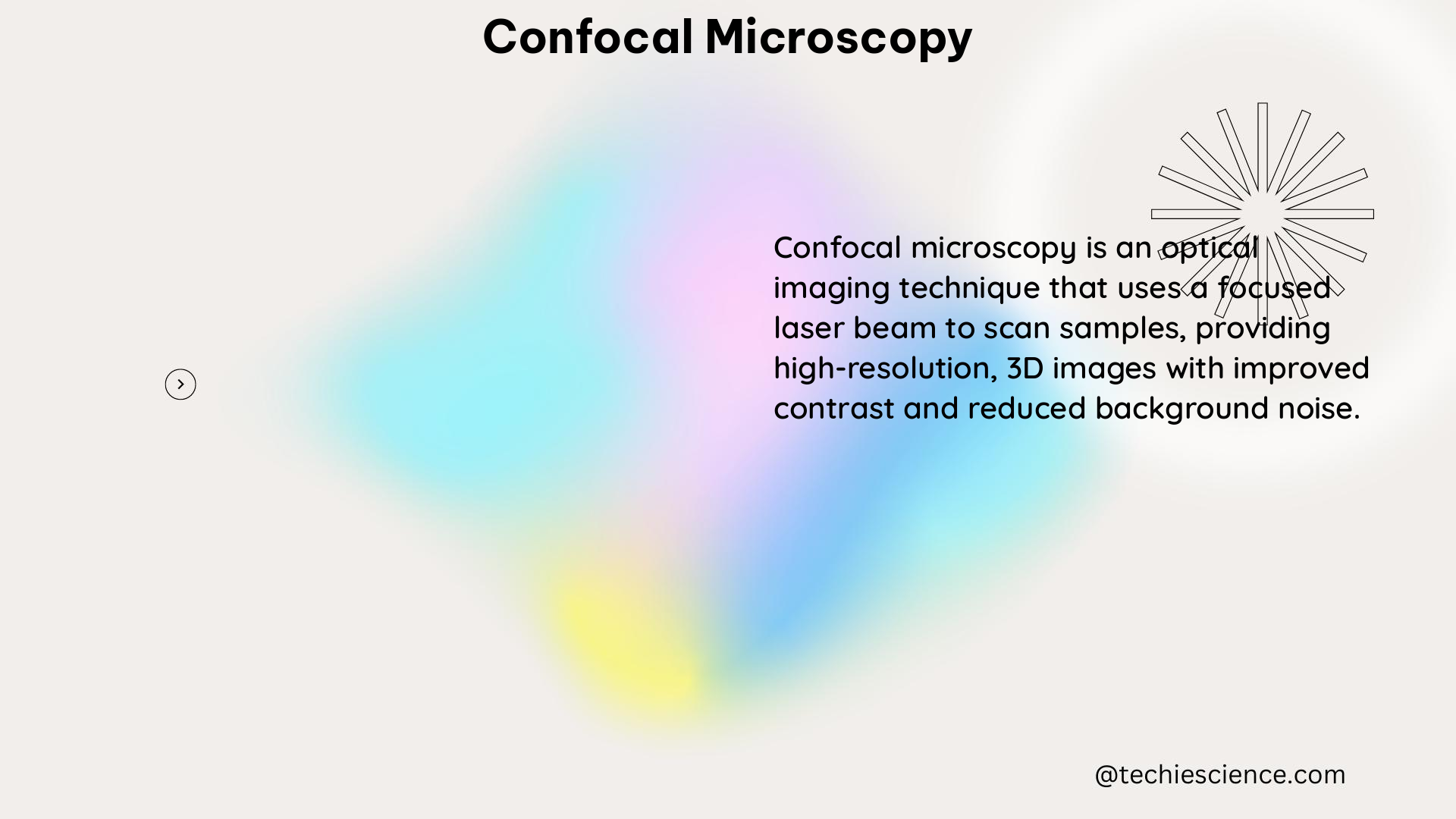 confocal microscopy