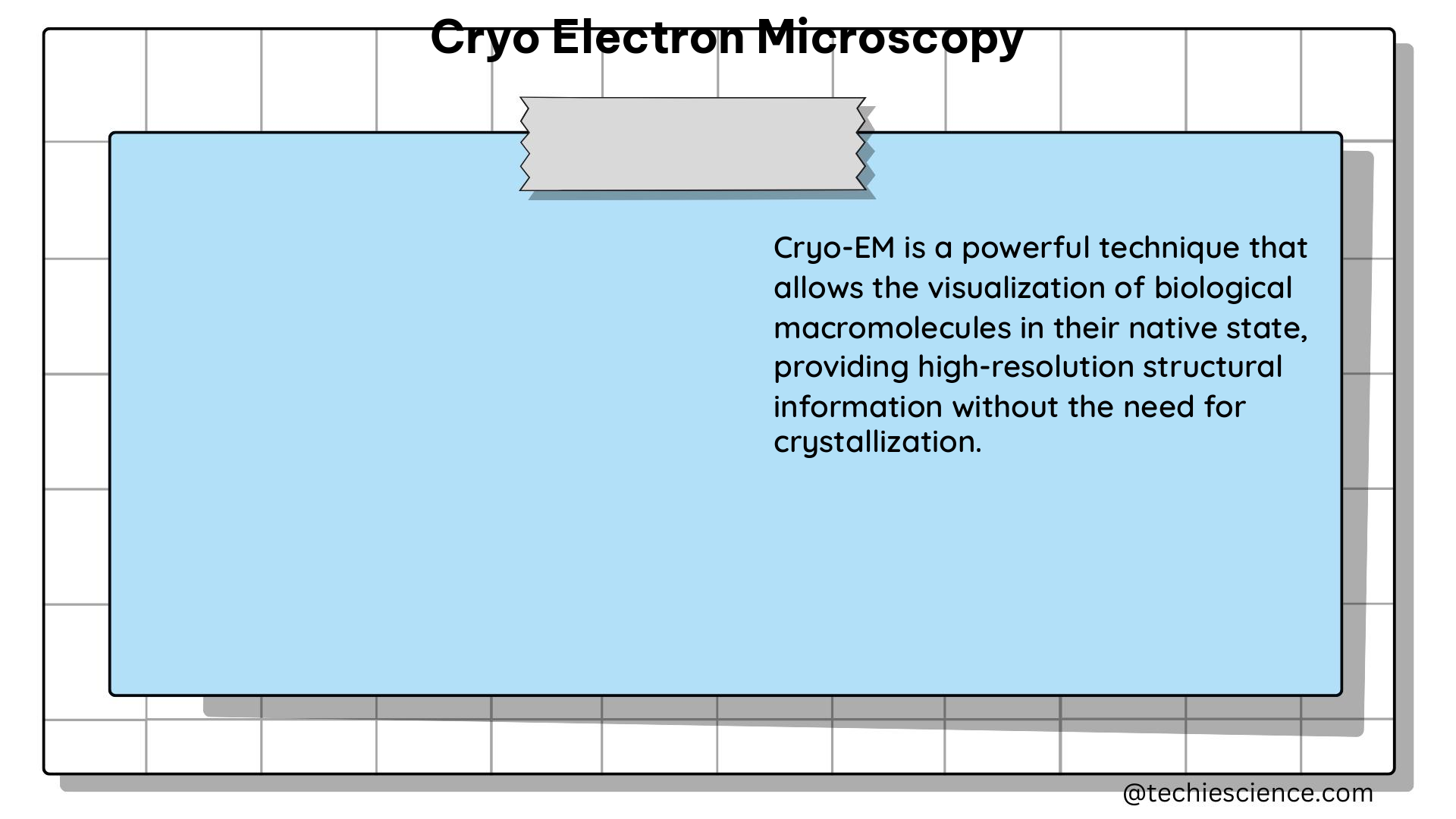 cryo electron microscopy