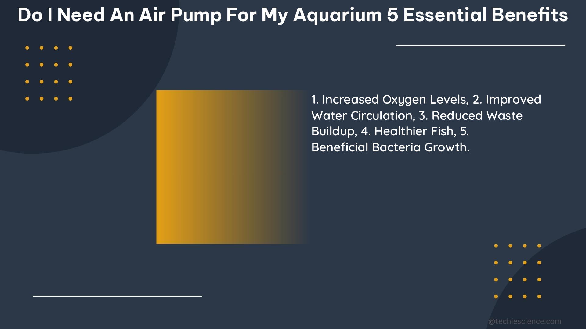 do i need an air pump for my aquarium 5 essential benefits