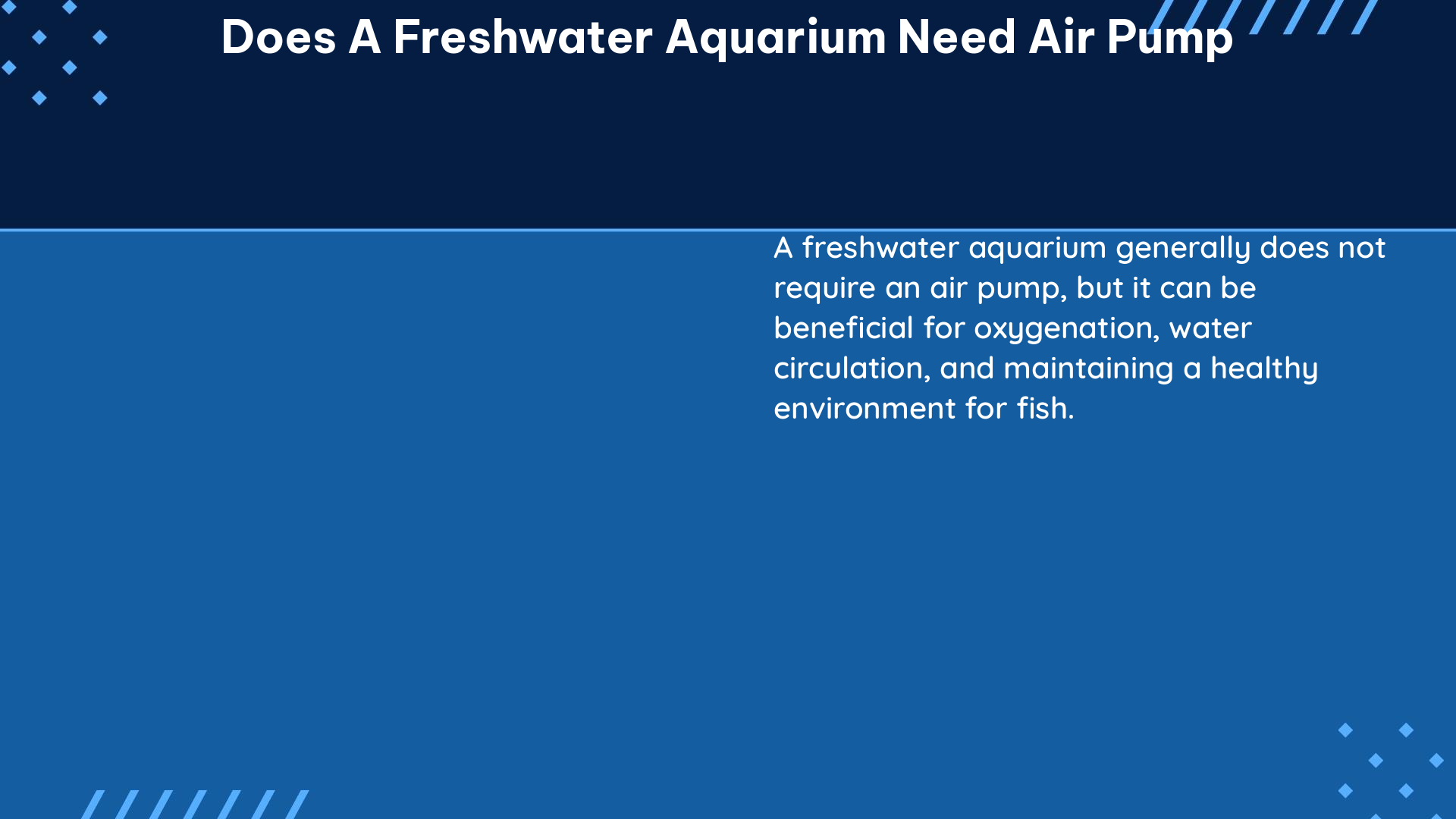 does a freshwater aquarium need air pump