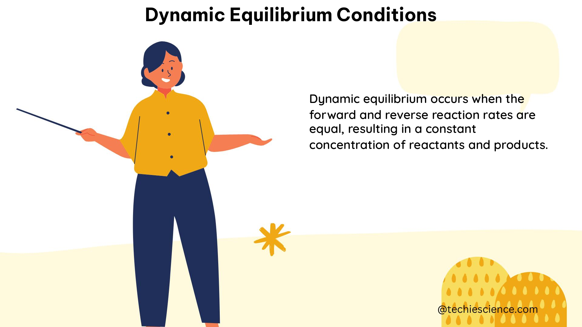 dynamic equilibrium conditions