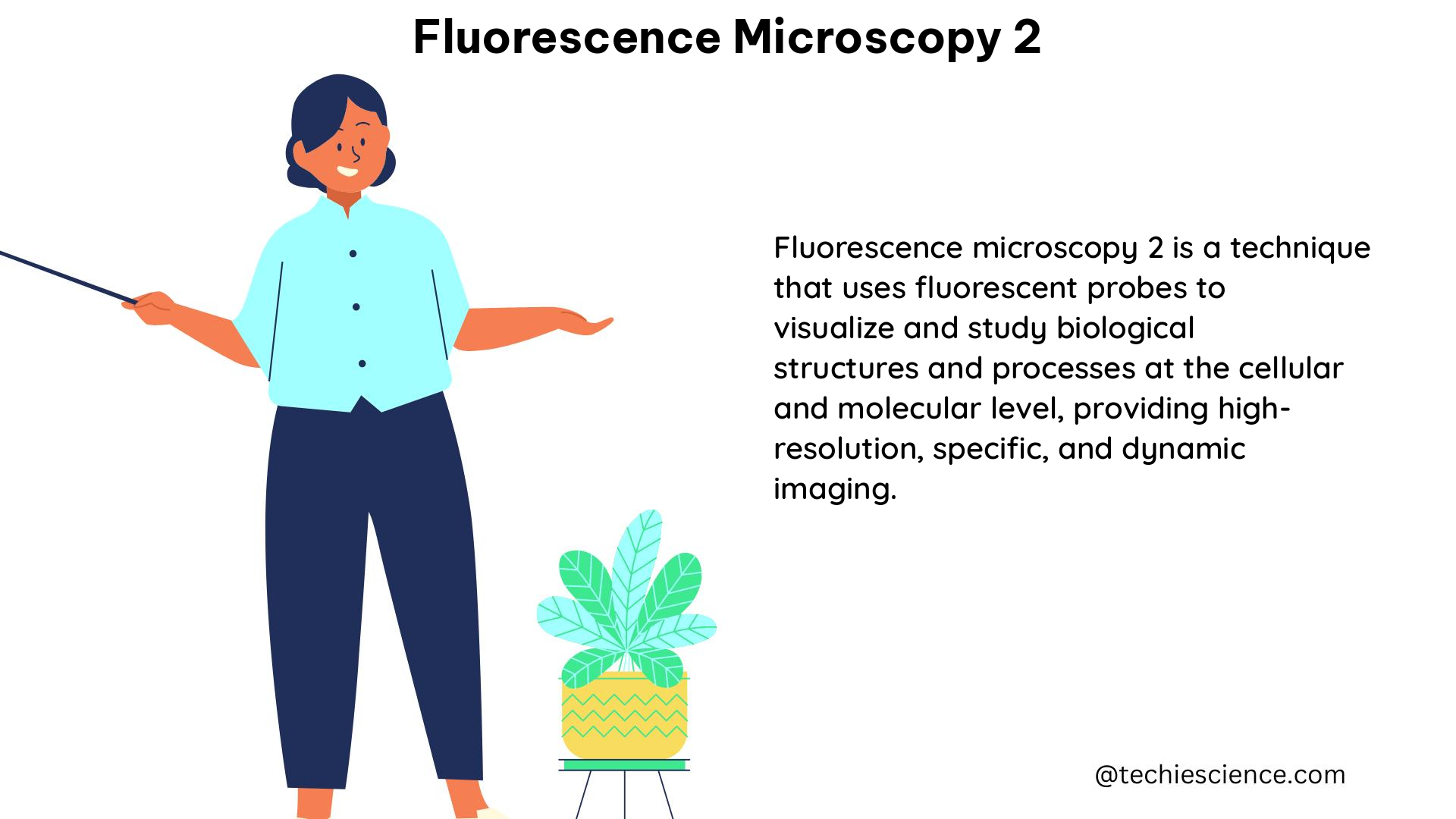 fluorescence microscopy 2