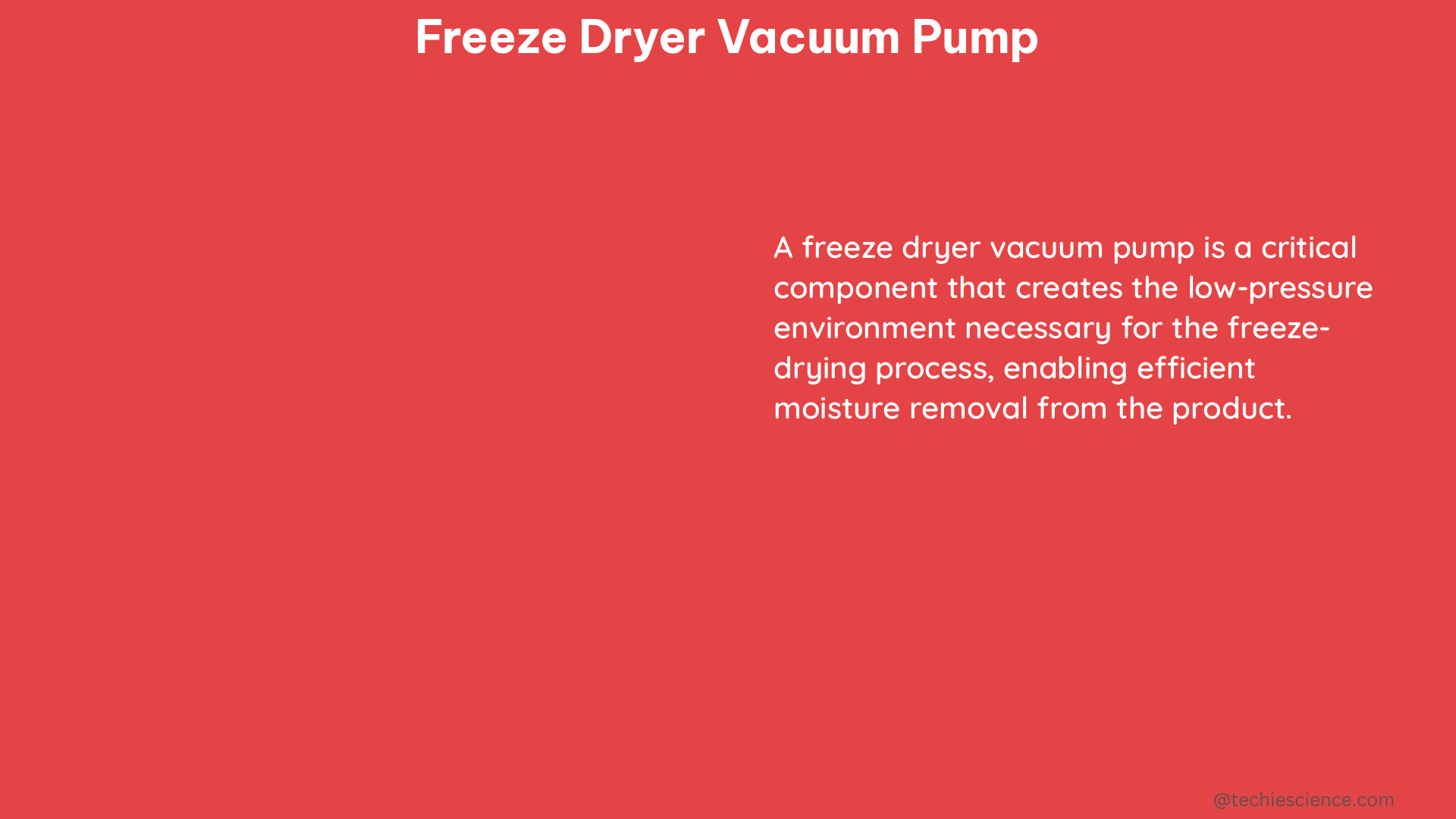 freeze dryer vacuum pump