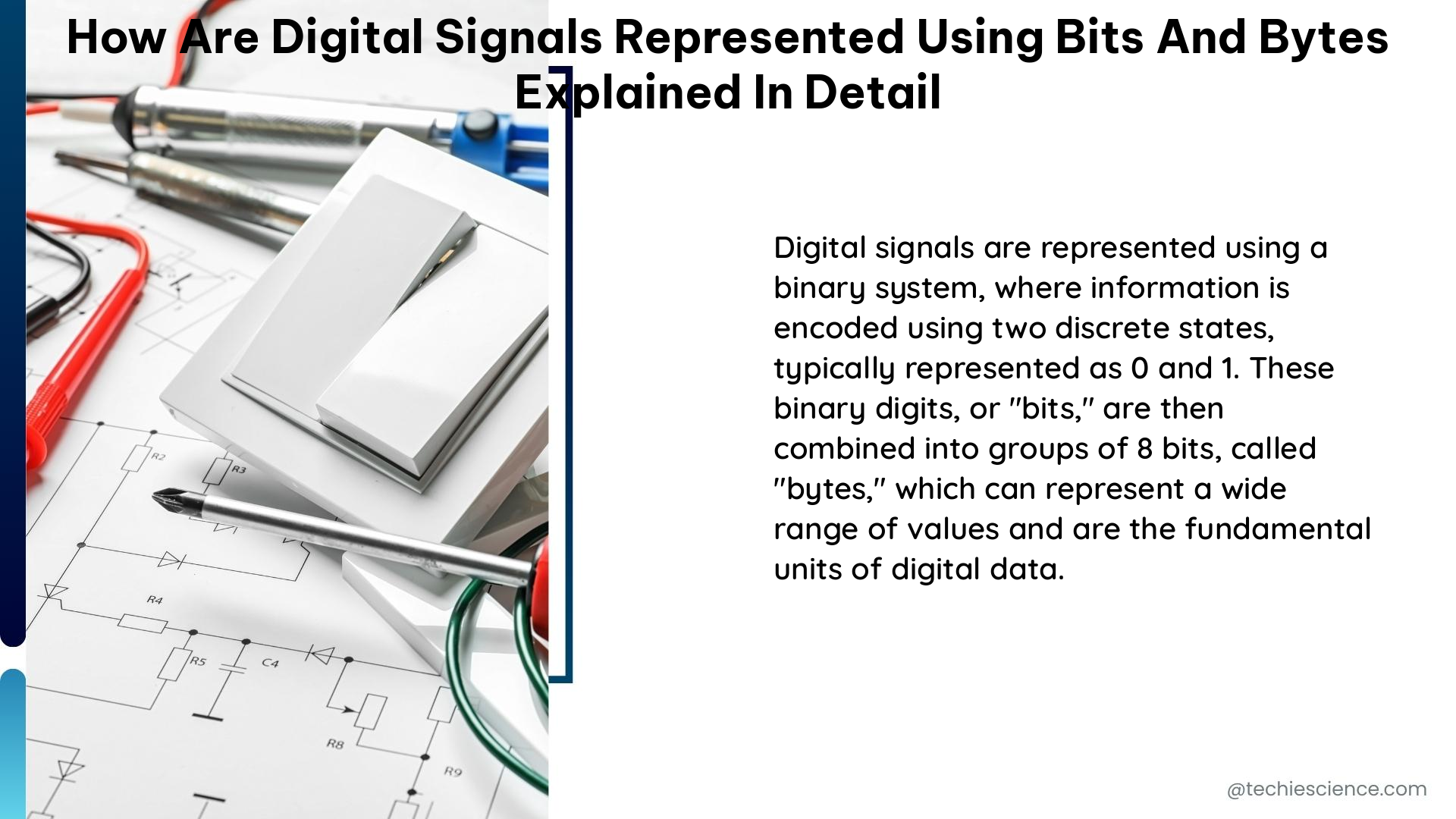 how are digital signals represented using bits and bytes explained in detail