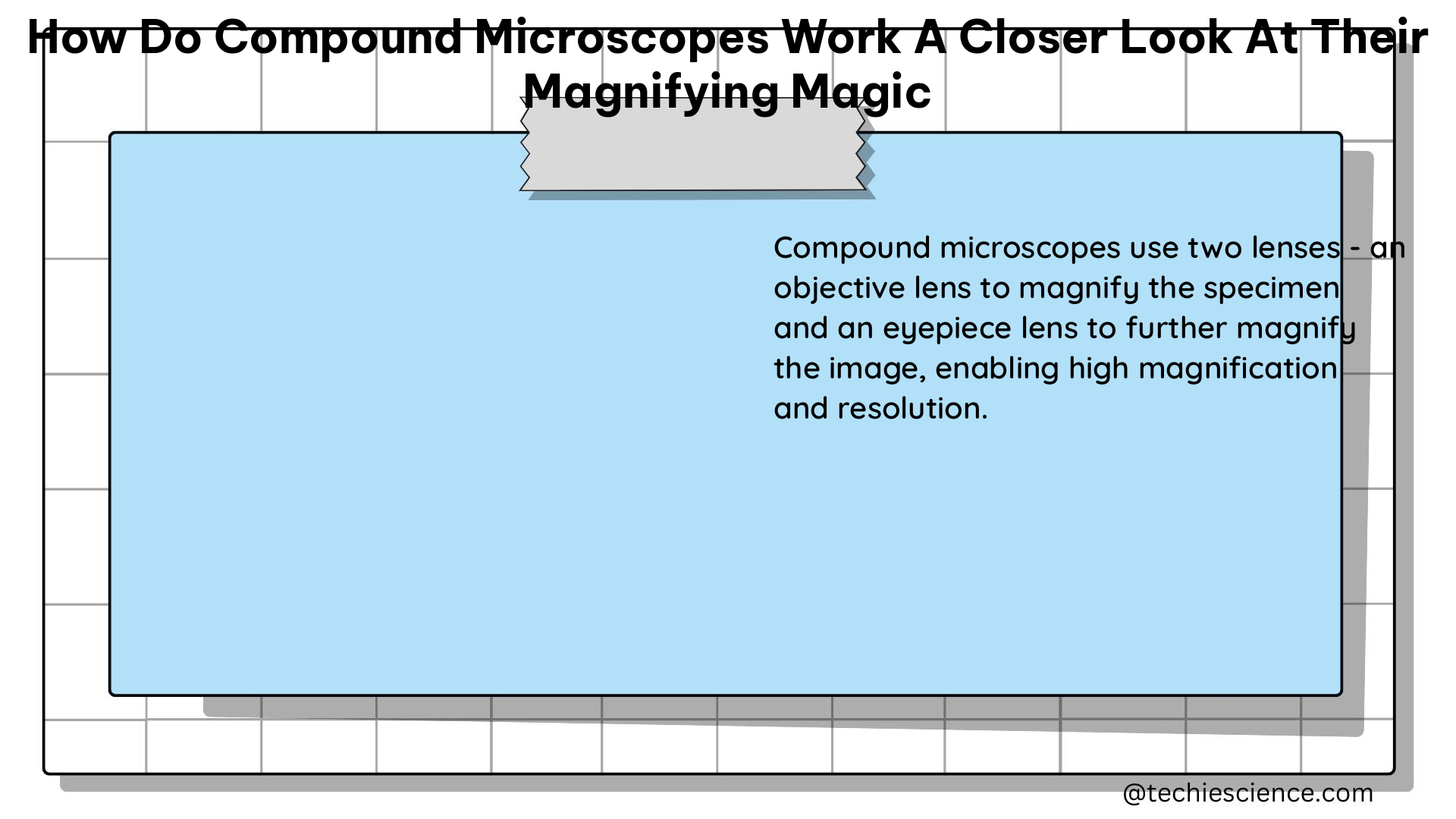 how do compound microscopes work a closer look at their magnifying magic