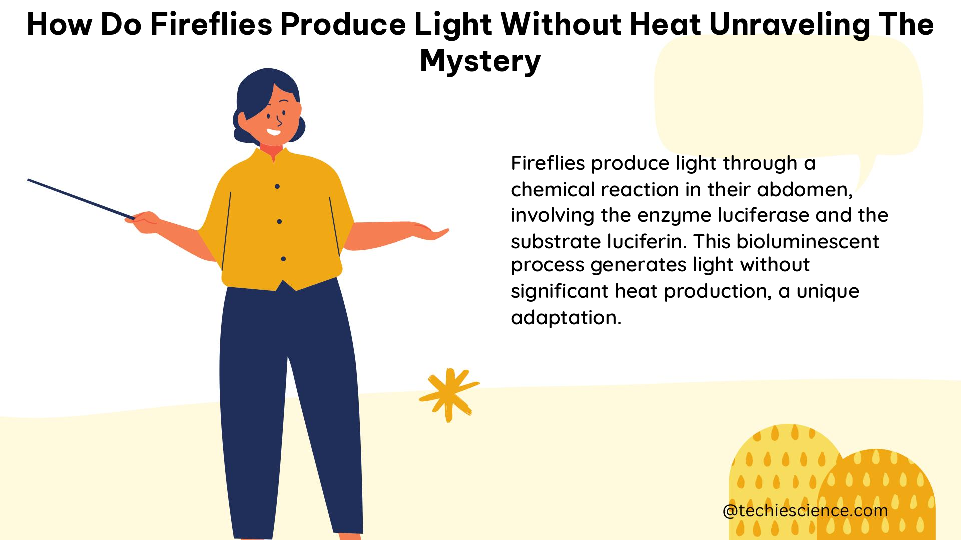 how do fireflies produce light without heat unraveling the mystery