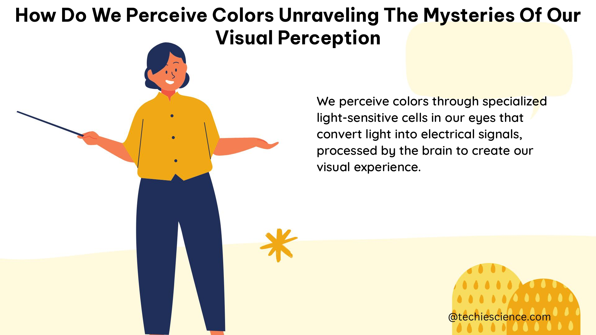 how do we perceive colors unraveling the mysteries of our visual perception