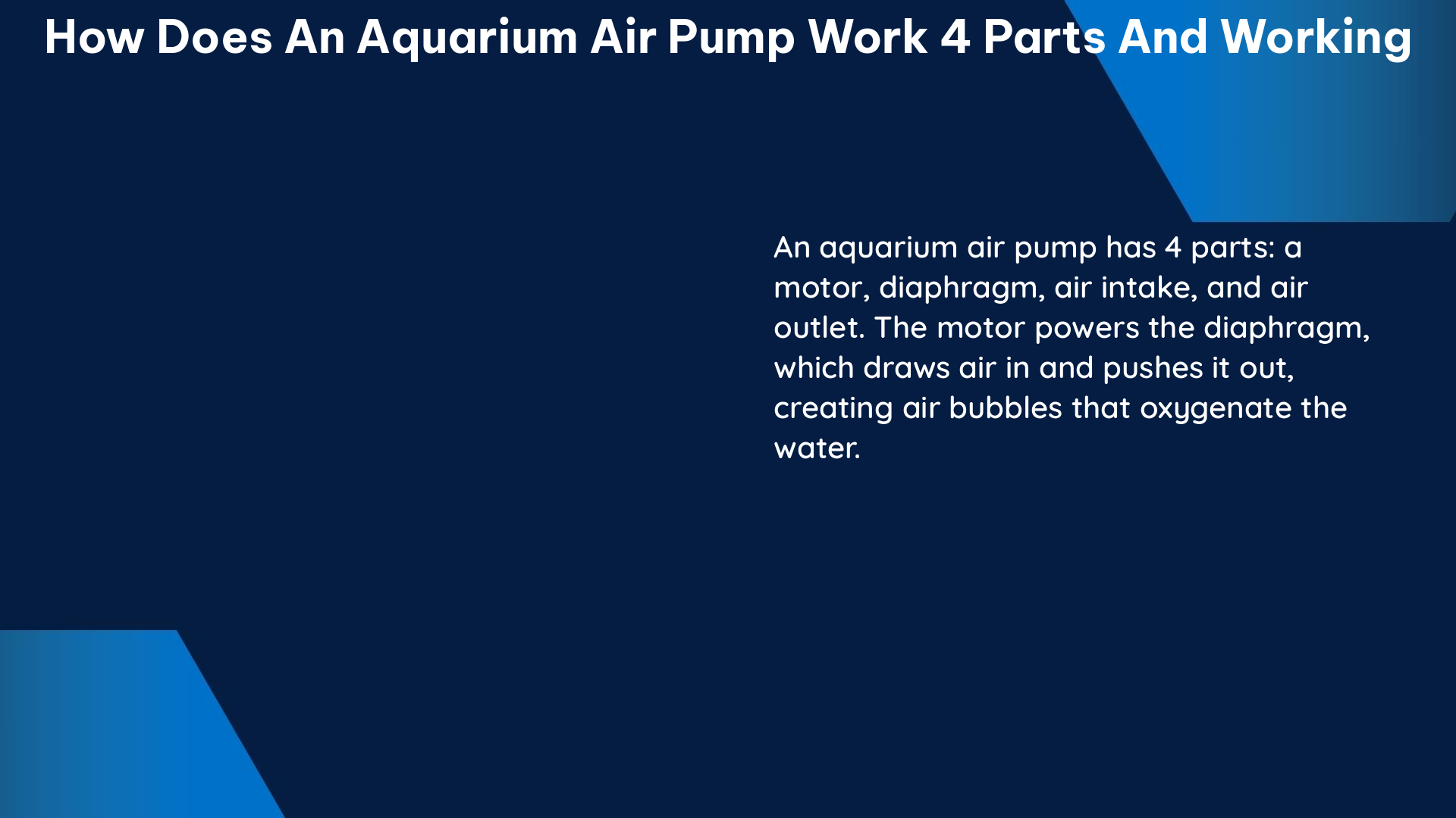 how does an aquarium air pump work 4 parts and working