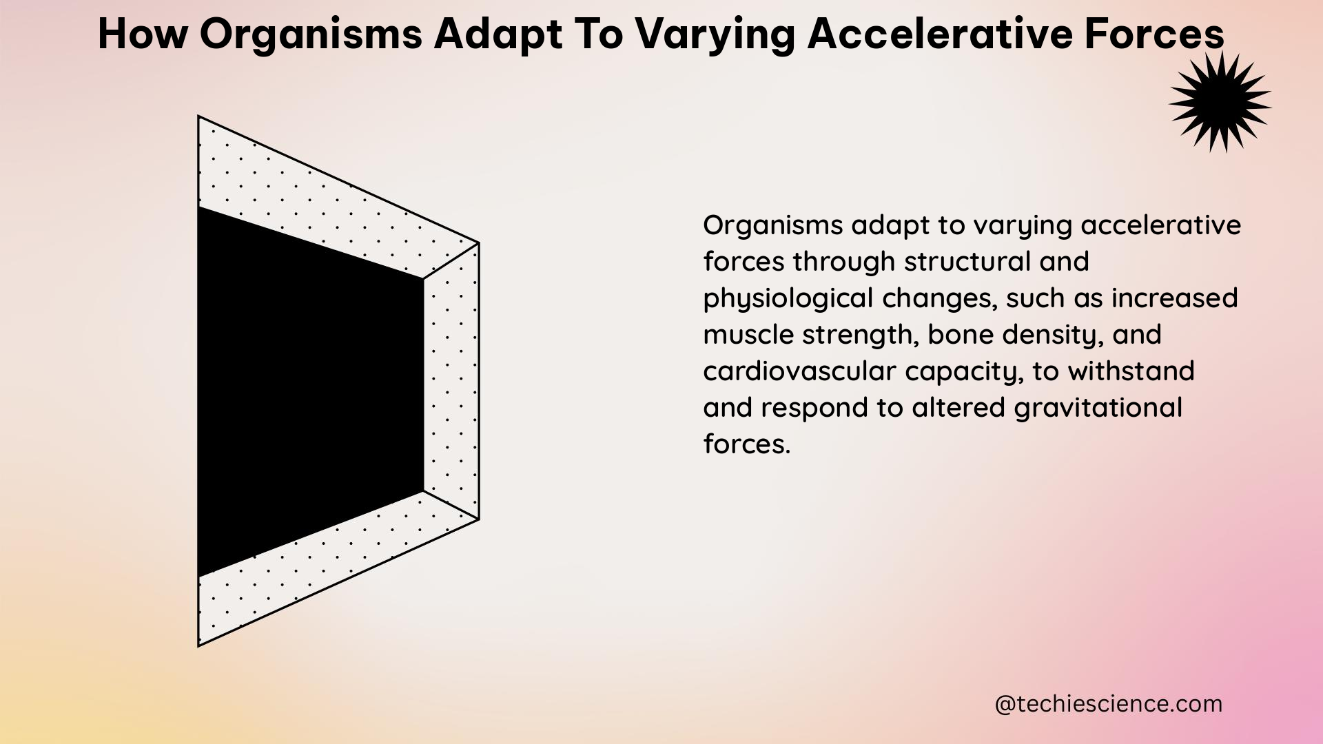 how organisms adapt to varying accelerative forces