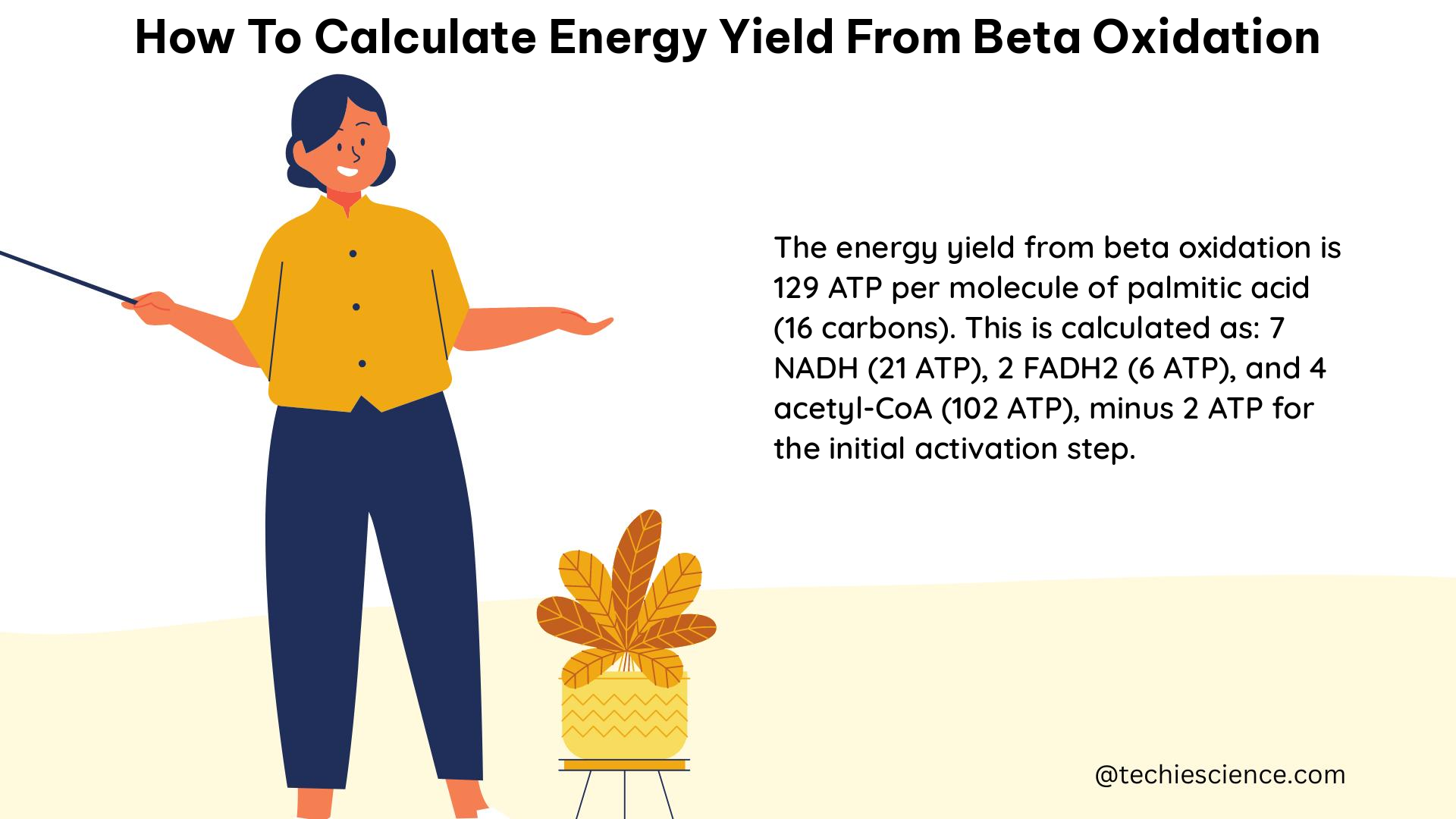 how to calculate energy yield from beta oxidation