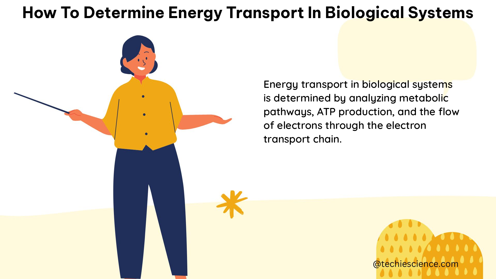 how to determine energy transport in biological systems