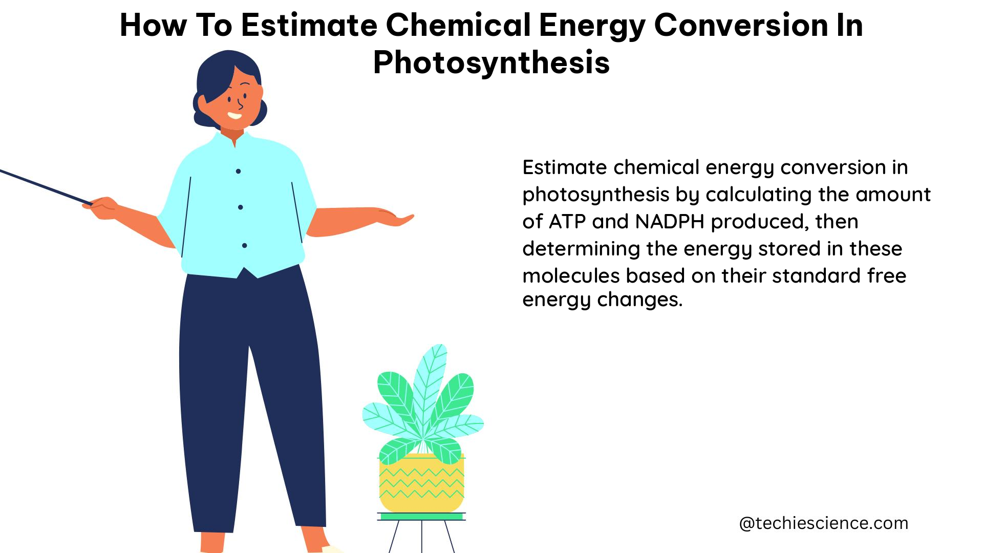 how to estimate chemical energy conversion in photosynthesis