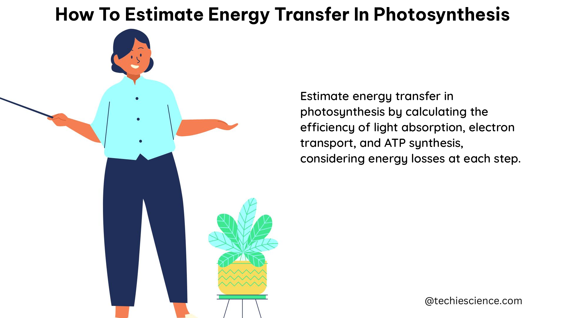 how to estimate energy transfer in photosynthesis