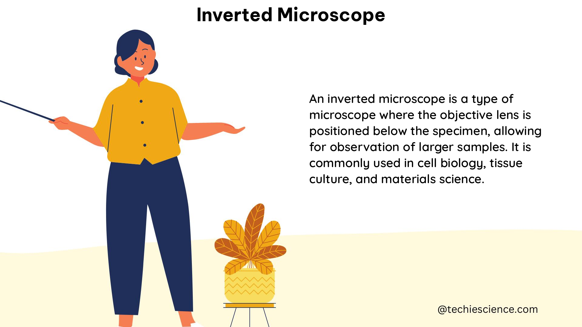 inverted microscope