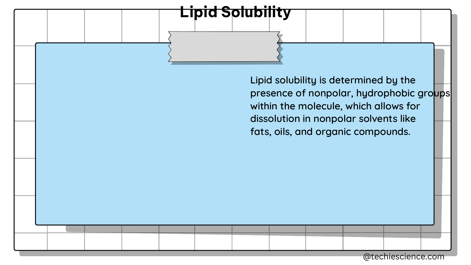 lipid solubility