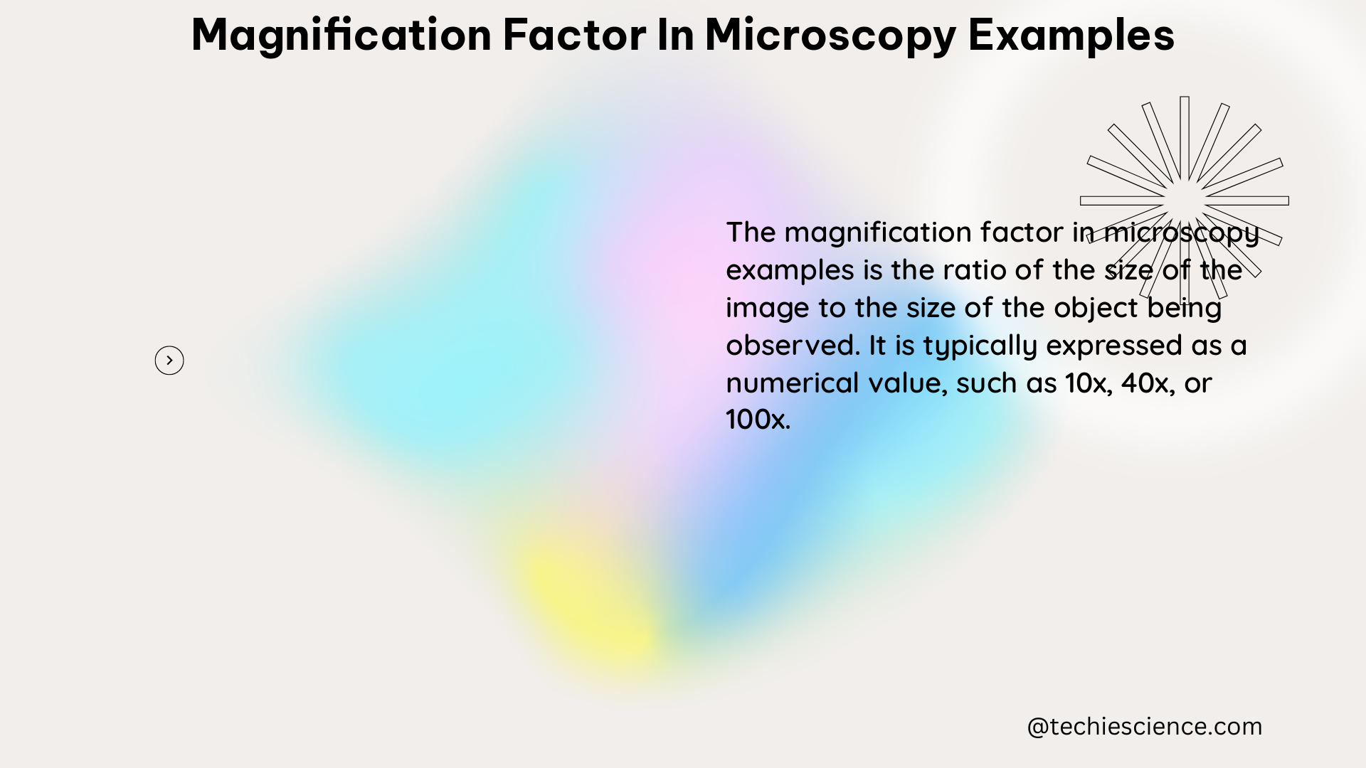 magnification factor in microscopy examples