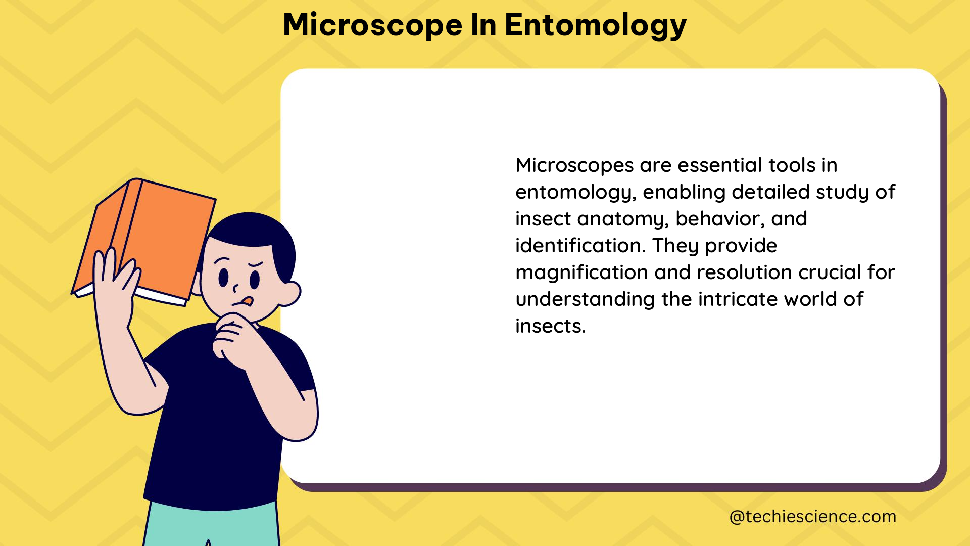 microscope in entomology