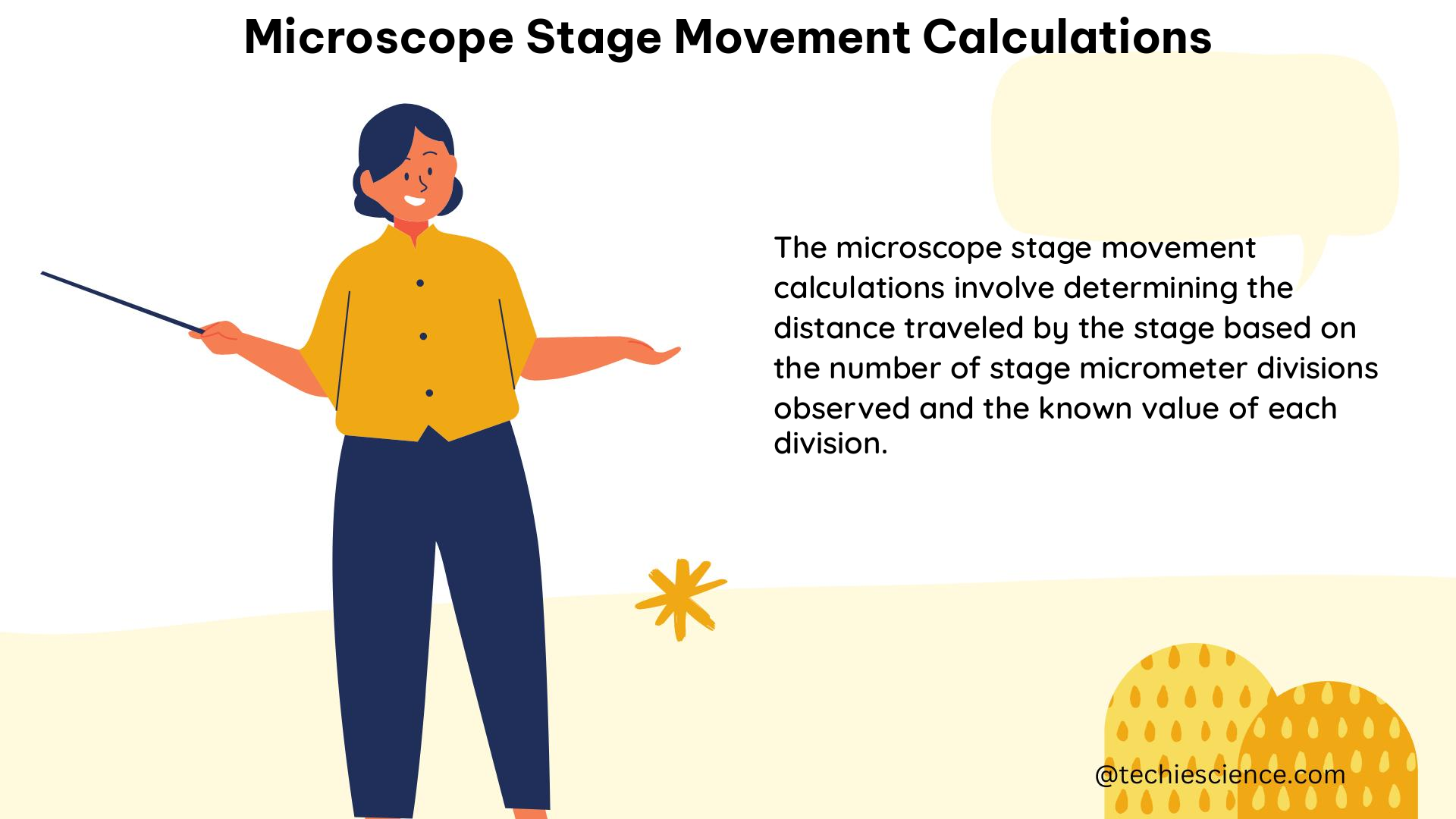 microscope stage movement calculations