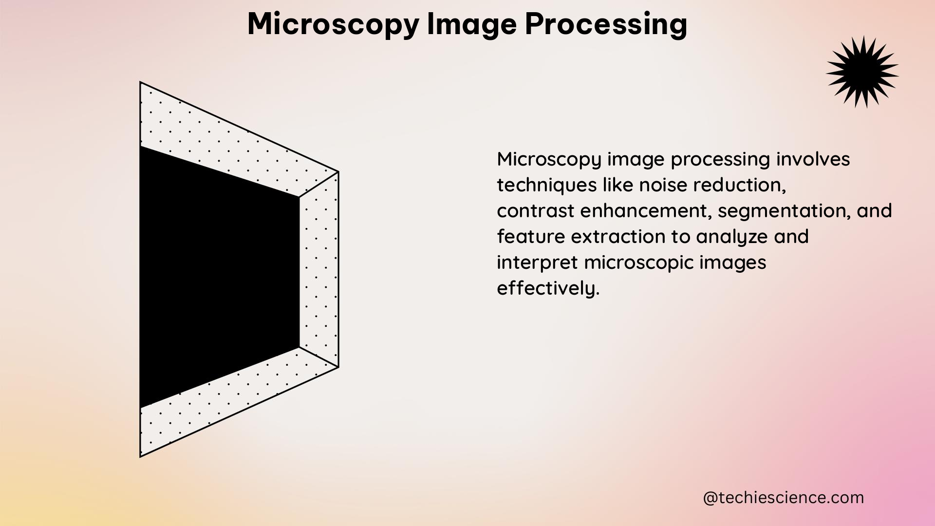 microscopy image processing