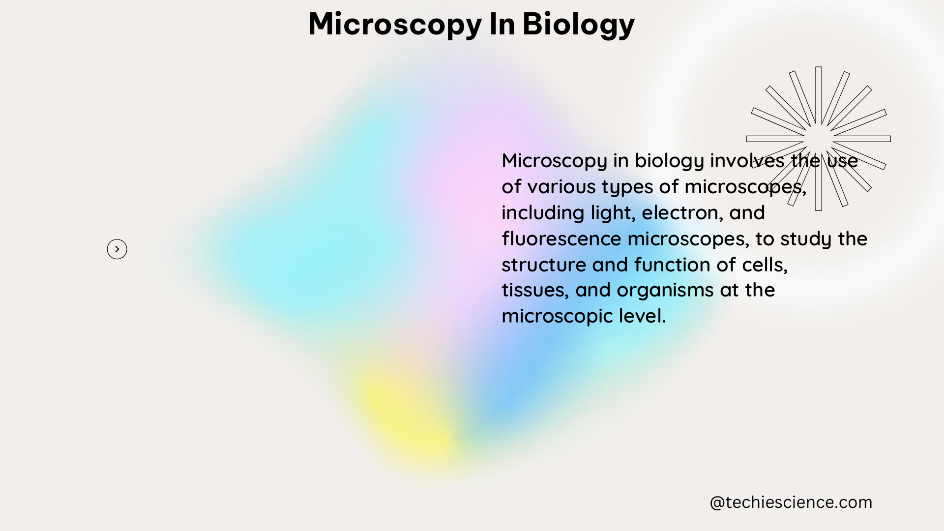 microscopy in biology