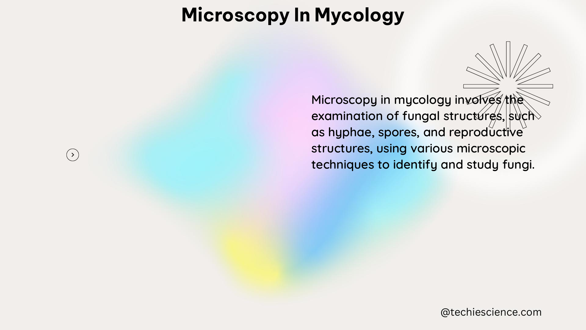 microscopy in mycology