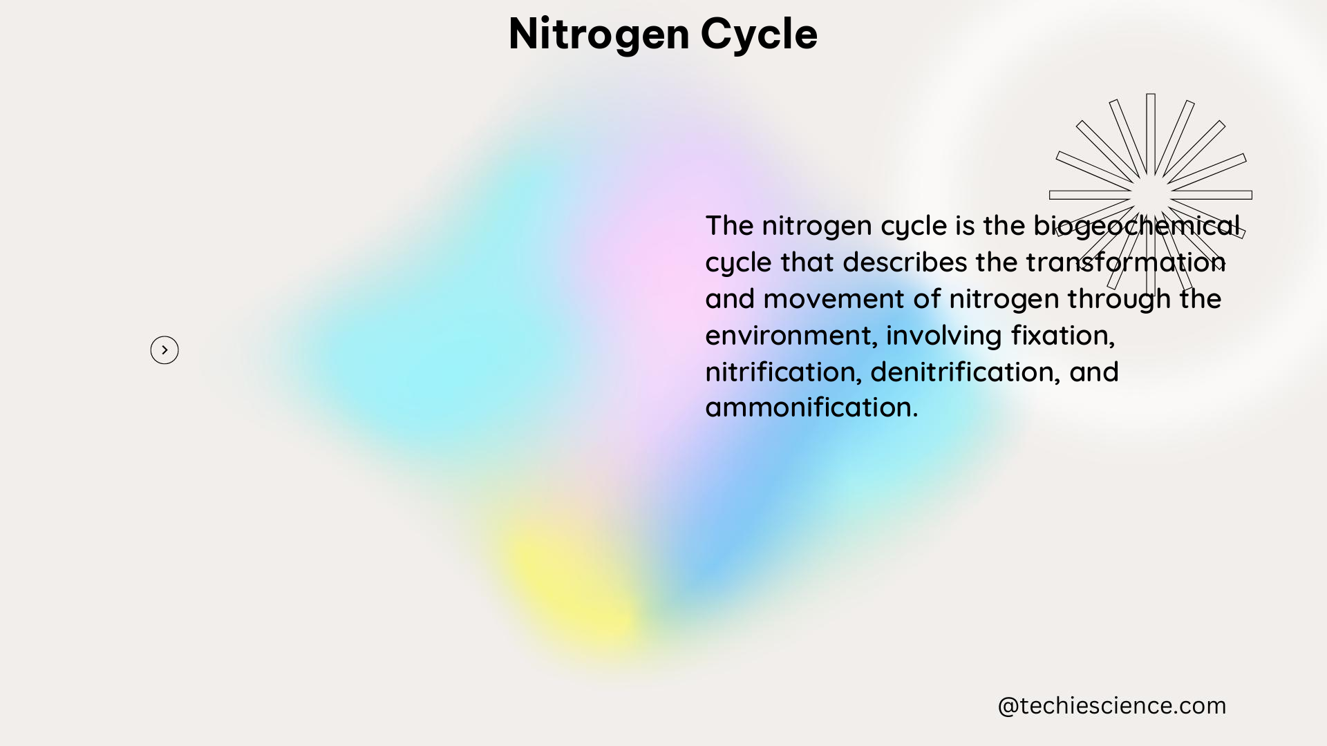 nitrogen cycle