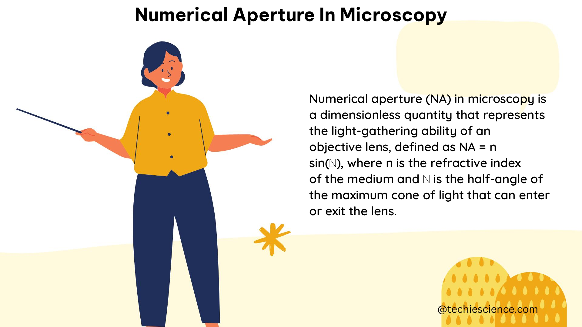 numerical aperture in microscopy