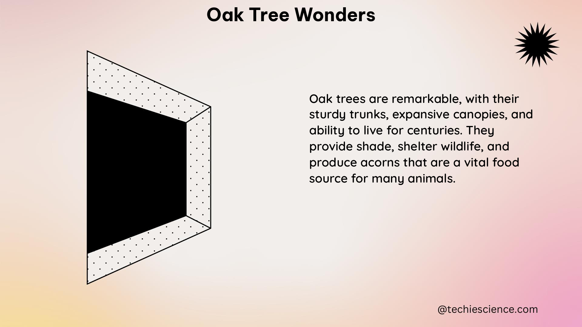 oak tree wonders