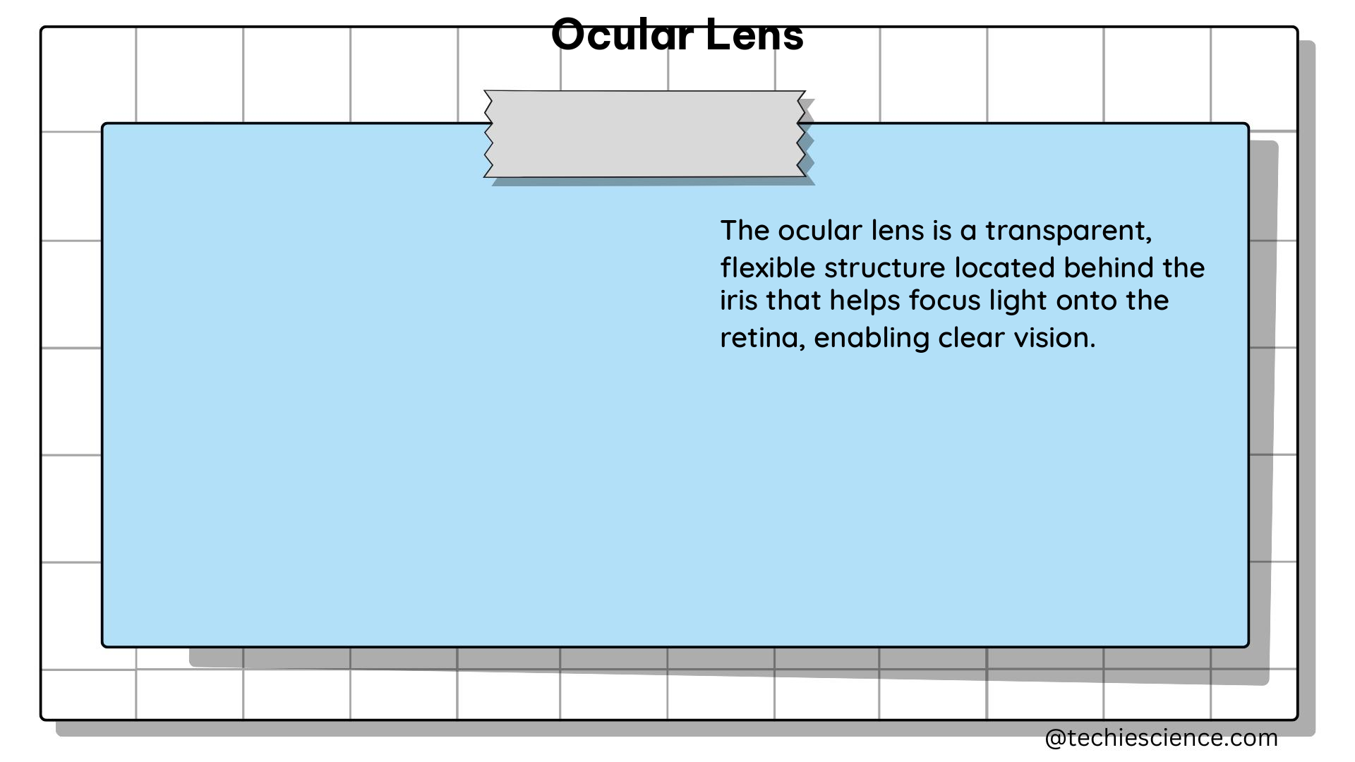 ocular lens