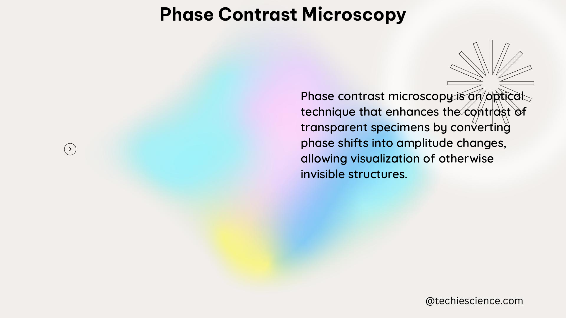 phase contrast microscopy