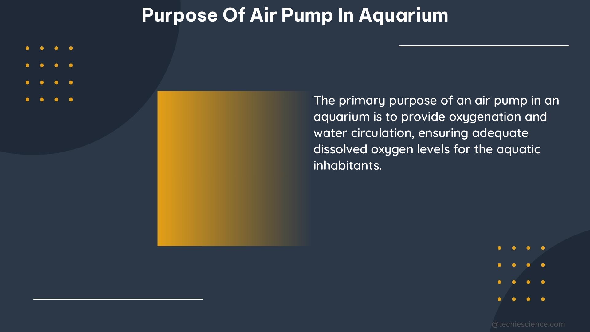 purpose of air pump in aquarium