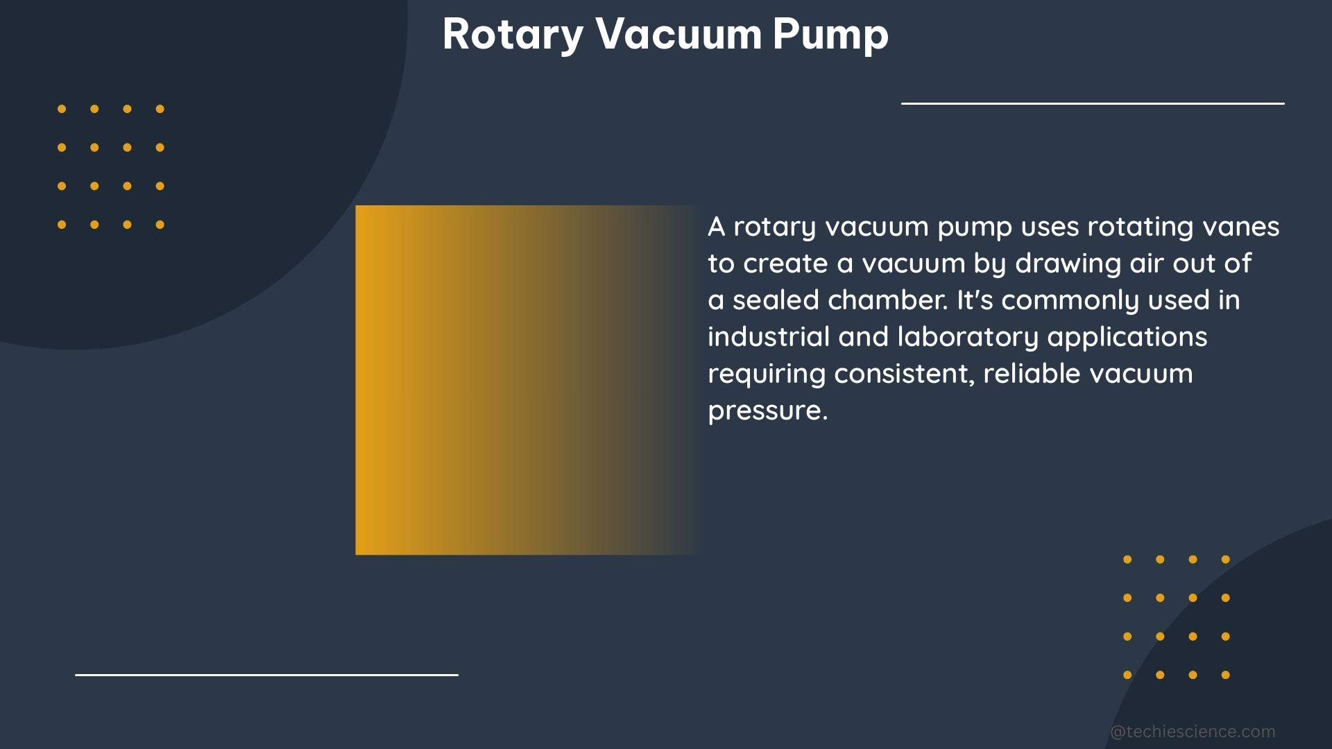 rotary vacuum pump