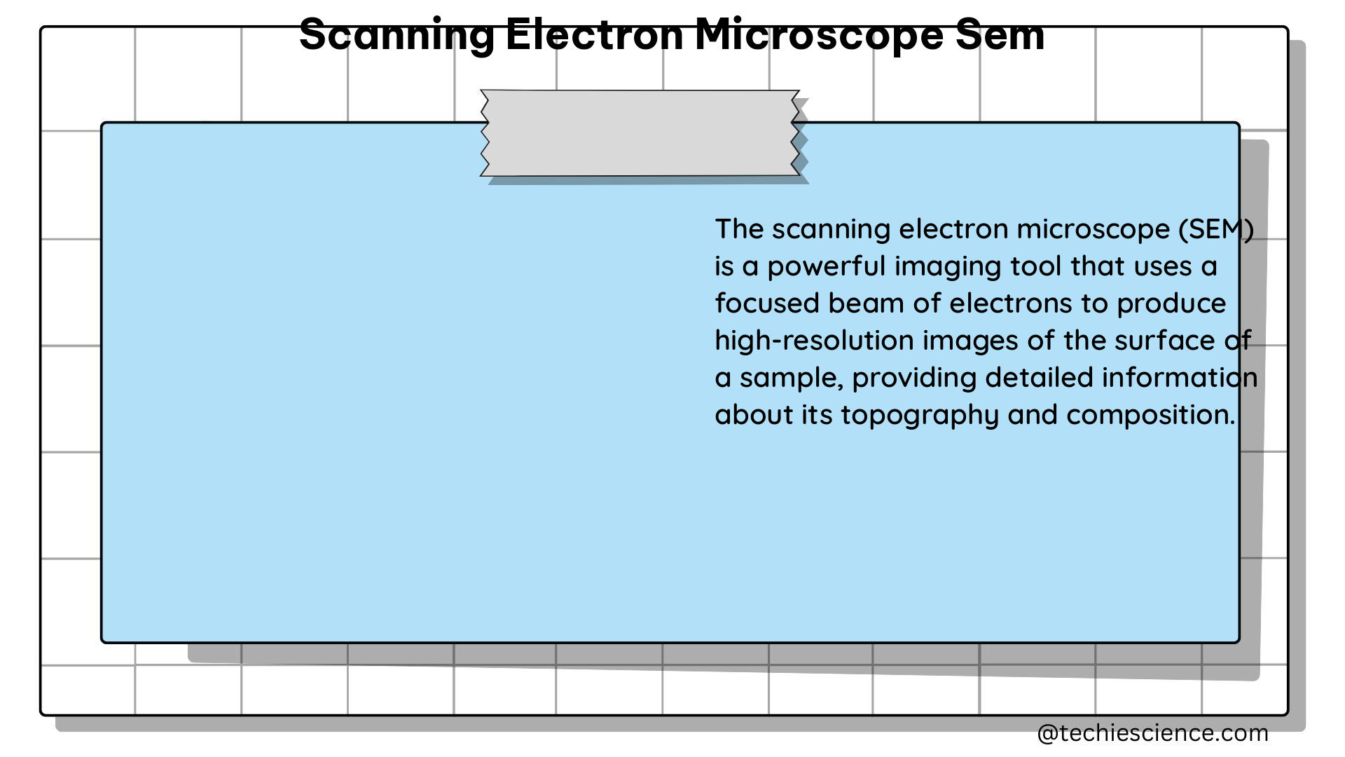 scanning electron microscope sem