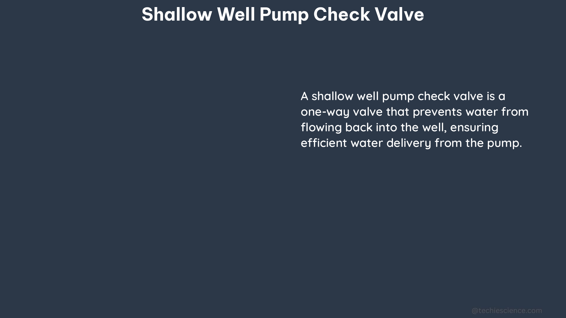 shallow well pump check valve