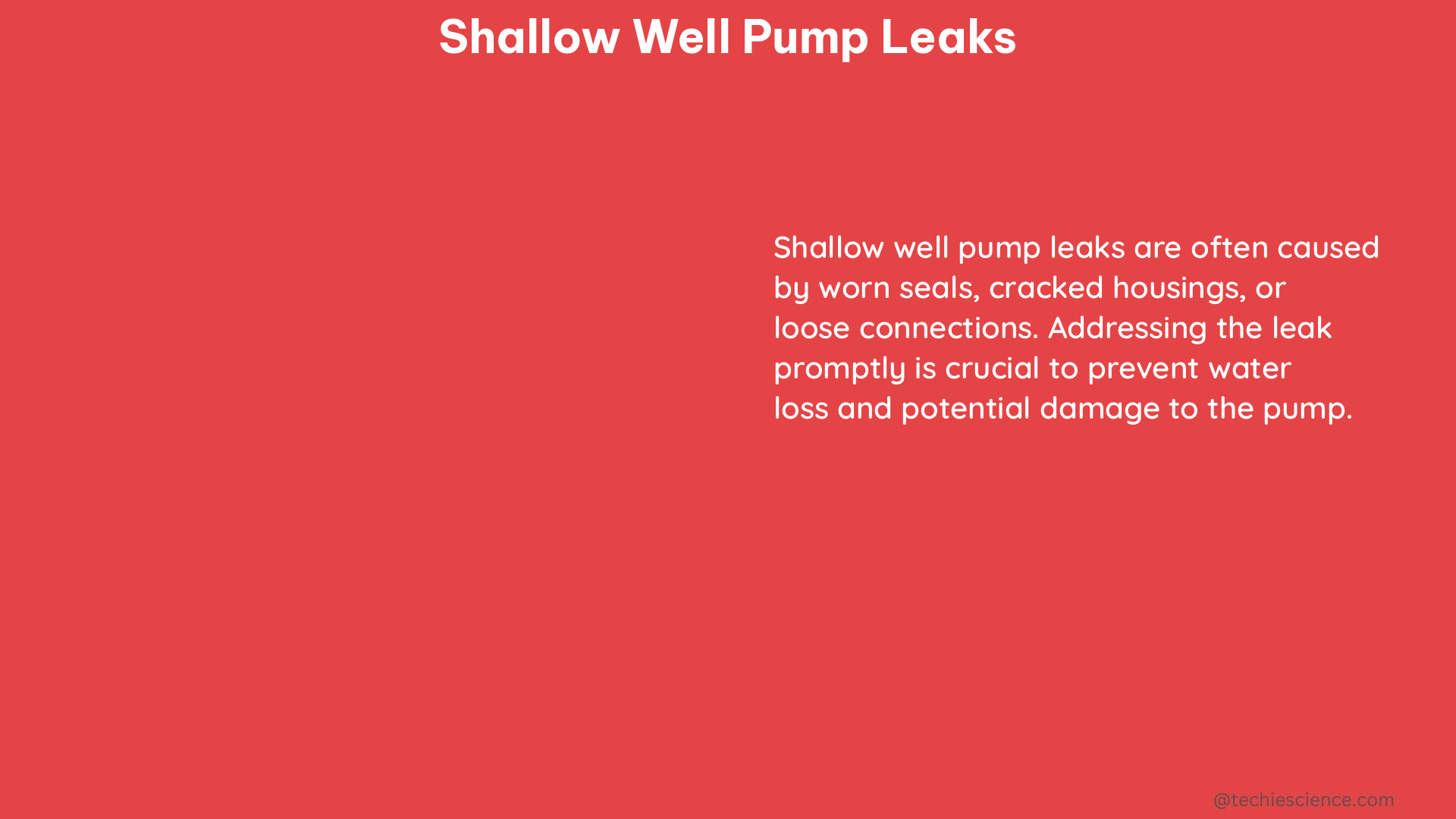 shallow well pump leaks