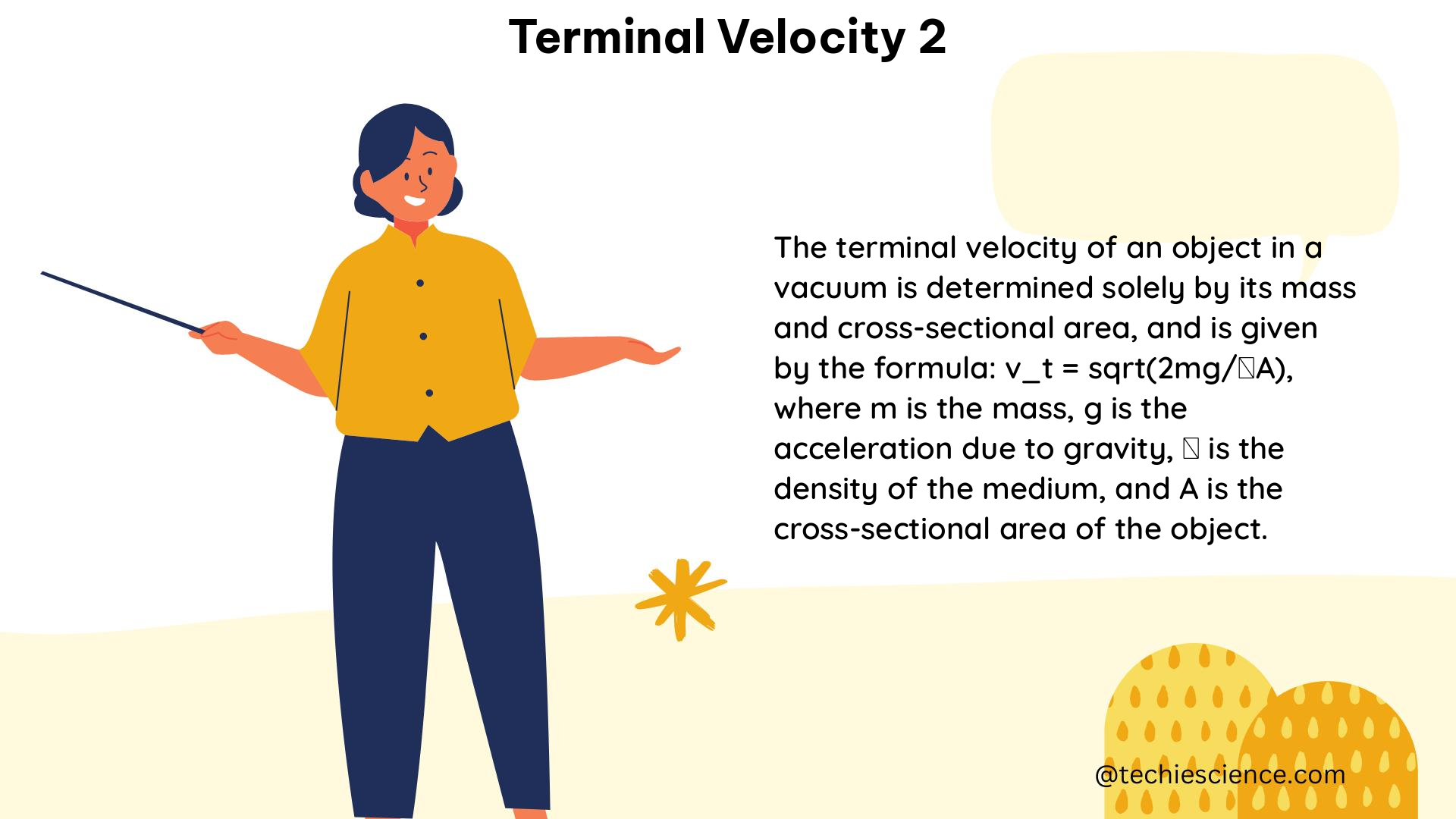 terminal velocity 2