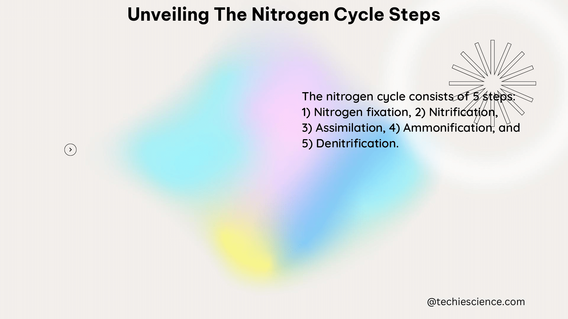 unveiling the nitrogen cycle steps